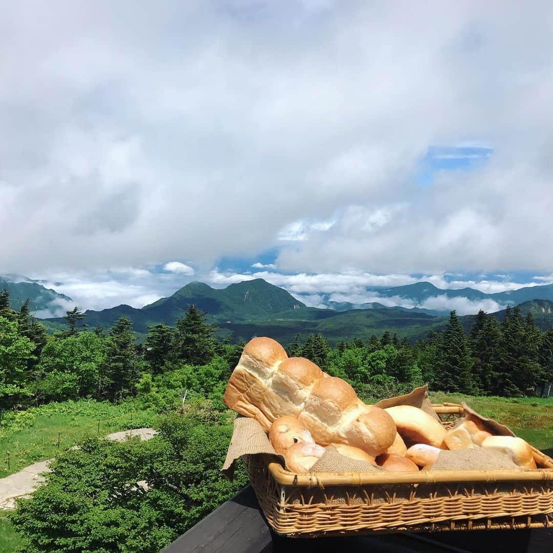 山本雪乃さんのインスタグラム写真 - (山本雪乃Instagram)「今日オンエアした ワンダふるさと長野県の ロケの時の写真です😋  横手山ヒュッテにある、 パン屋さんに行きました。  美味しかったなあ〜🤤 *  最初は霧がかかって 見えなかった雲海。  自称晴れ女のディレクターさんと、 ロケはやたらと晴れる私とで お互いの晴れ女パワーを信じて、😂 *  2,30分ほど待っていると、  雲海が見えてきたんです☺️ *  待ってよかったねー！！ と、 2人で大喜びしました^ ^  かわいいジョーンズにも出会えて、 なんだか心が癒されるロケでした^ ^  たくさん写真ありますので、 ぜひご覧ください⭐️* #長野県  #横手山ヒュッテ  #横手山ヒュッテのパン屋さん  #ワンダのロケはディレクターさんと2人っきり」8月2日 22時55分 - yukino_yamamoto5