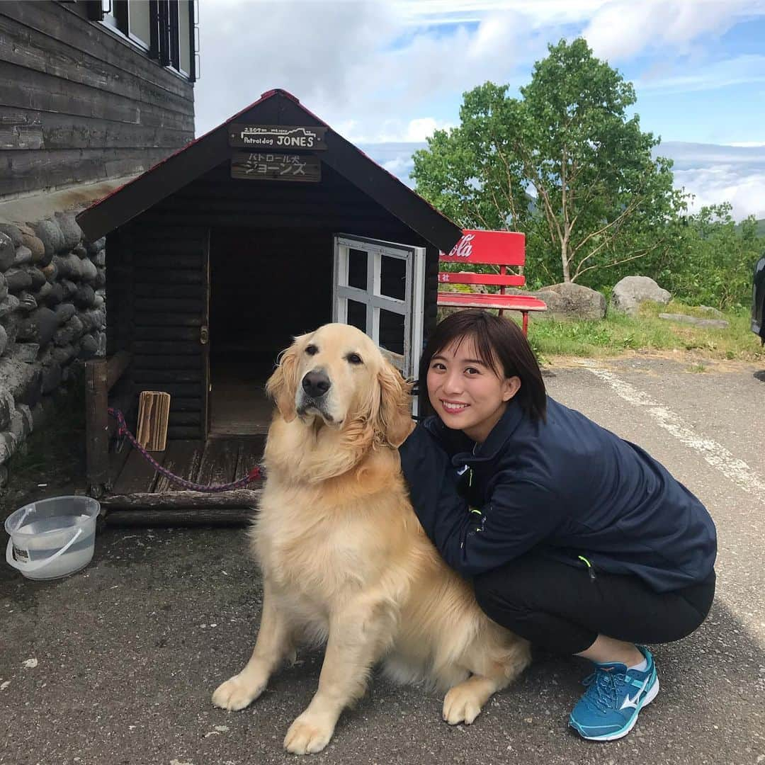 山本雪乃さんのインスタグラム写真 - (山本雪乃Instagram)「今日オンエアした ワンダふるさと長野県の ロケの時の写真です😋  横手山ヒュッテにある、 パン屋さんに行きました。  美味しかったなあ〜🤤 *  最初は霧がかかって 見えなかった雲海。  自称晴れ女のディレクターさんと、 ロケはやたらと晴れる私とで お互いの晴れ女パワーを信じて、😂 *  2,30分ほど待っていると、  雲海が見えてきたんです☺️ *  待ってよかったねー！！ と、 2人で大喜びしました^ ^  かわいいジョーンズにも出会えて、 なんだか心が癒されるロケでした^ ^  たくさん写真ありますので、 ぜひご覧ください⭐️* #長野県  #横手山ヒュッテ  #横手山ヒュッテのパン屋さん  #ワンダのロケはディレクターさんと2人っきり」8月2日 22時55分 - yukino_yamamoto5