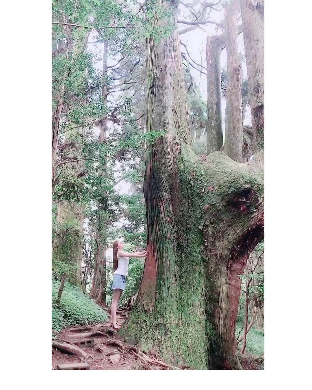 asamiのインスタグラム：「「大きく深呼吸エネルギーチャージ...♪*ﾟ  その1歩の経験が一生涯の大きな財産になる✩.*˚｣」