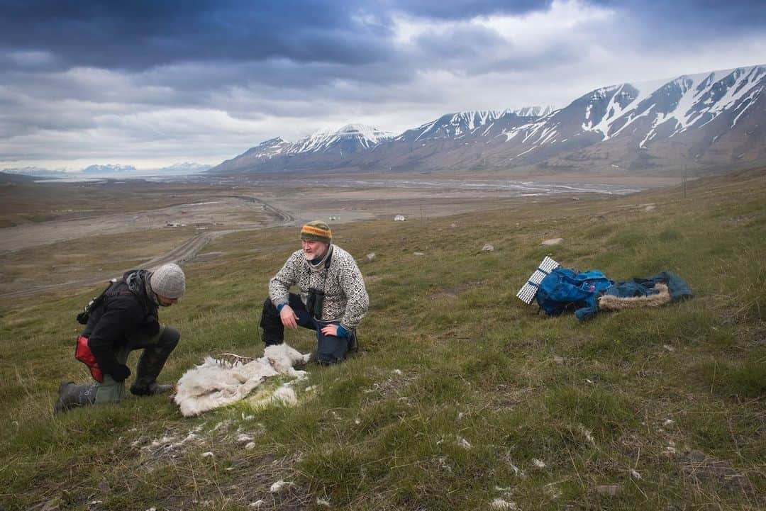 ルモンドさんのインスタグラム写真 - (ルモンドInstagram)「De retour de son expédition annuelle de recensement des rennes du Spitzberg sur l’archipel du Svalbard, à quelques centaines de kilomètres du pôle Nord, Åshild Ønvik Pedersen, chercheuse à l’Institut polaire norvégien, tire la sonnette d’alarme. Plus de deux cents rennes ont été trouvés morts de faim durant l’été, la plupart dans Adventdalen. Jamais elle n’a trouvé autant de cadavres. « C’est une expérience terrible de trouver autant d’animaux morts », dit-elle. Pour l’Institut, qui procède à ce travail d’observation des rennes du Spitzberg tous les étés depuis 40 ans dans le cadre d’un programme scientifique, le réchauffement climatique est sans la moindre hésitation à l’origine du drame. - Hamish Burnett et Mads Forchhammer, chercheurs à l'Institut polaire norvégien, inspectent le cadavre d'un renne, en juin 2019. Photo: Siri Uldal / Norwegian Polar Institute / AFP (@afpphoto) - #RechauffementClimatique #Planete」8月2日 23時28分 - lemondefr