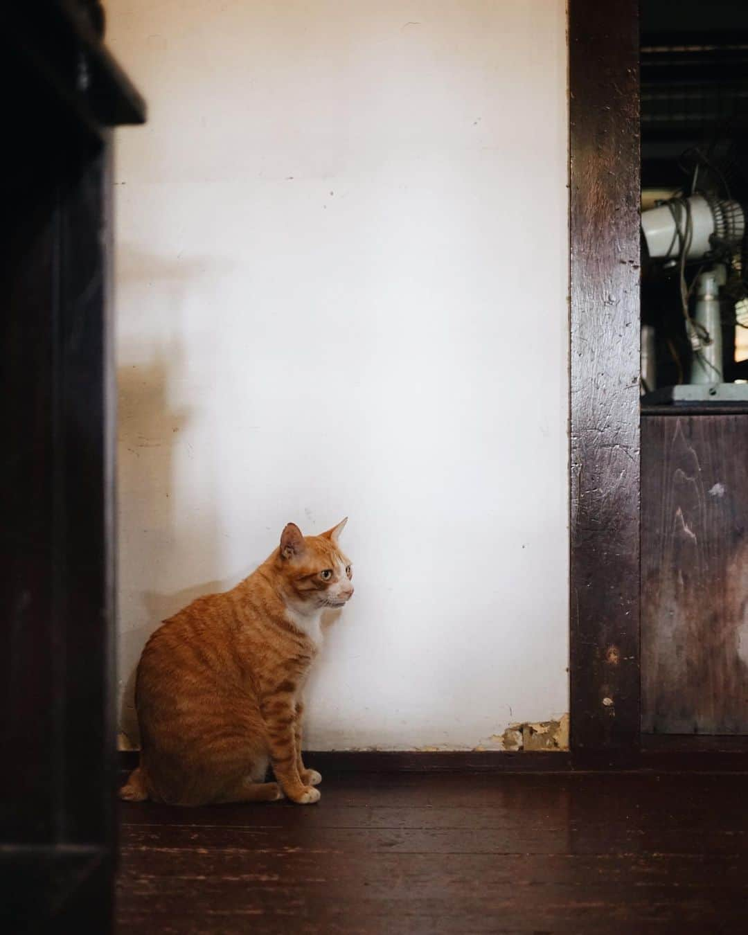 言身寸 in Tainan, Taiwanのインスタグラム