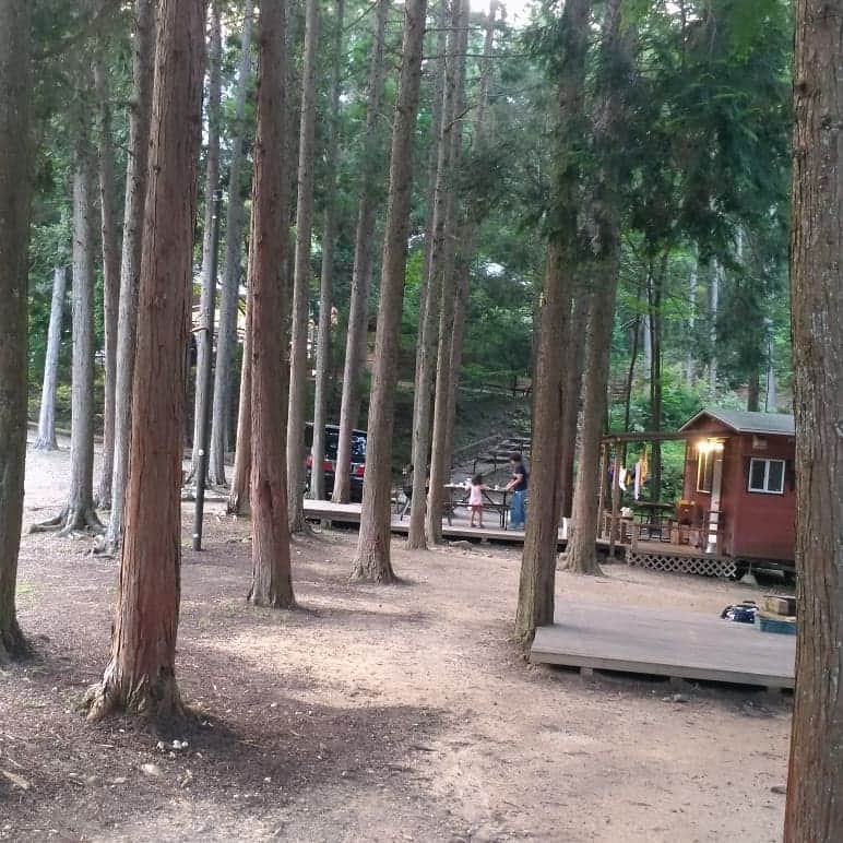 烏川耕一さんのインスタグラム写真 - (烏川耕一Instagram)「一泊でキャンプに行ってきました❗  あまごつかみにBBQにカブト虫捕まえたり、 ただただ楽しかった😁  朝飯に作ったホットドッグばり旨やったな👍  明日からツアーで北海道です。  こちらも楽しみでし😘」8月3日 1時07分 - kouichiukawa