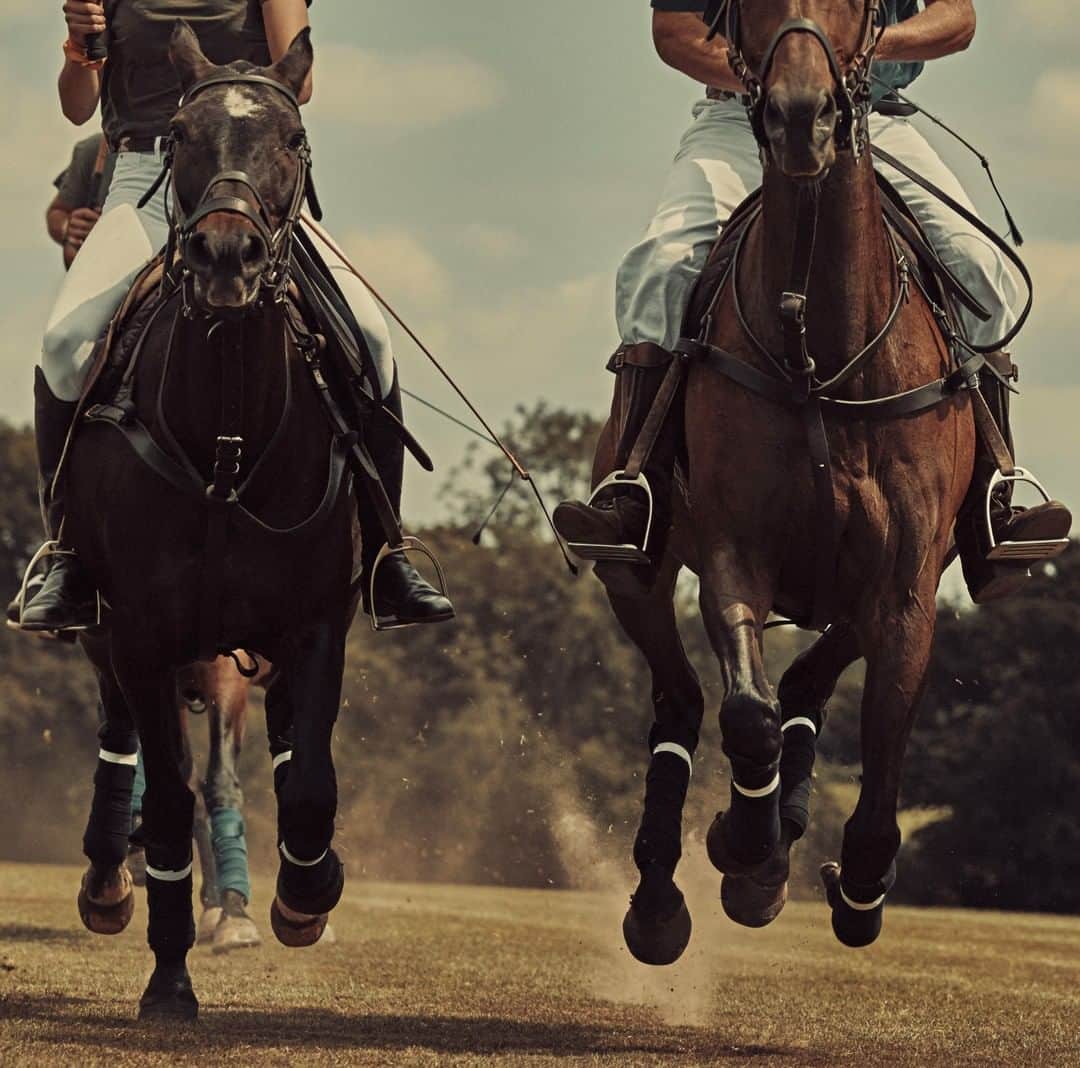 フローリスさんのインスタグラム写真 - (フローリスInstagram)「Polo is a game for technicians, tacticians and spirited fighters. Choose a scent that can keep up with a fast-paced lifestyle from the Floris Private Collection. #FlorisLondon #PrivateCollection #Polo #Horse #LuxuryFragrance #PoloLifestyle #EaudeParfum」8月3日 1時25分 - florislondon
