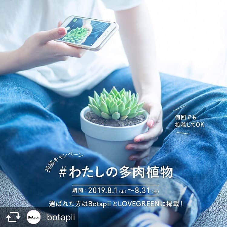 LOVEGREEN -植物と暮らしを豊かに。のインスタグラム