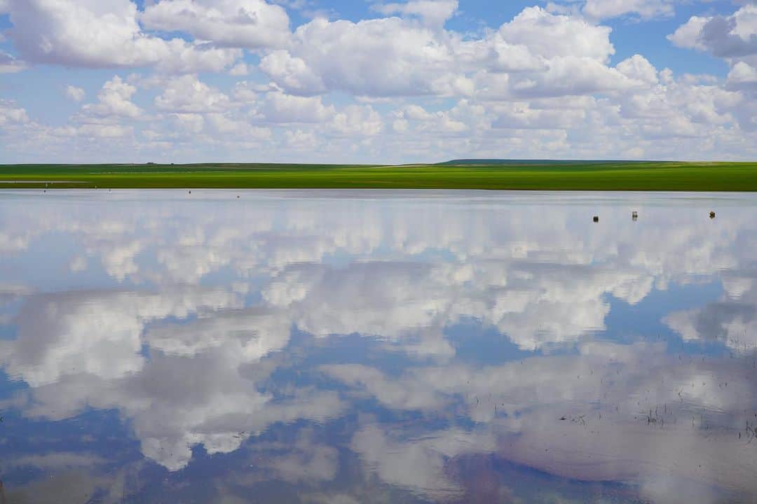 Michael Yamashitaさんのインスタグラム写真 - (Michael YamashitaInstagram)「Mongolian summer is the most pleasant time of the year, as the grasslands turn green, and showers are often but brief. Once dry lakes fill with rain runoff creating instant photo ops.  #innermongolia #mongolia #summertime #lakes」8月3日 4時05分 - yamashitaphoto