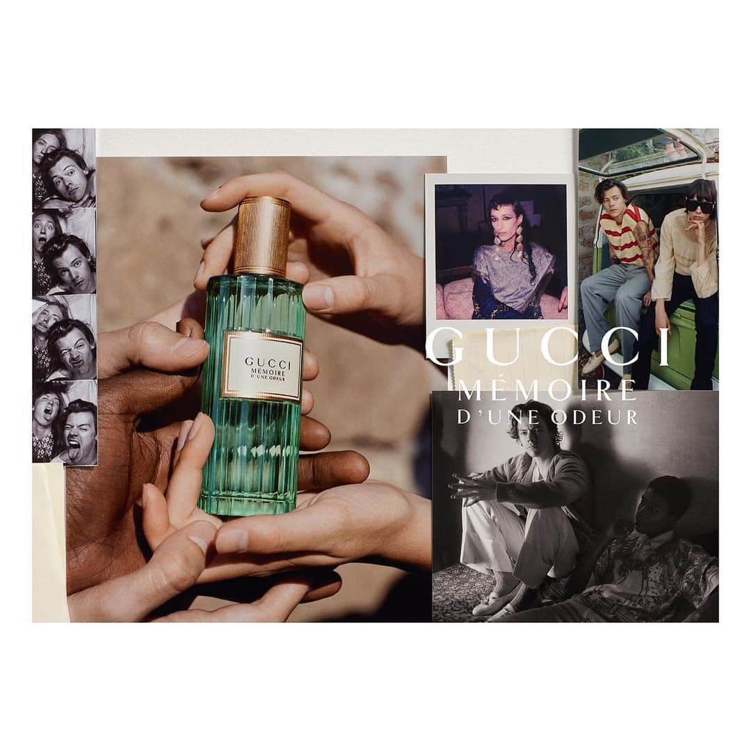 グッチさんのインスタグラム写真 - (グッチInstagram)「Gucci Mémoire d’une Odeur by @guccibeauty is an elixir that transcends gender and time, establishing a new olfactive family, Mineral Aromatic. The fragrance by @alessandro_michele is defined by its green aromatic scent, blended with a note of Roman chamomile, that has grown around Rome in terraced gardens since the 16th and 17th centuries. #GucciBeauty #AlessandroMichele #GucciMémoire Discover the scent through link in bio and get the gif photobooth images featuring @harrystyles on IG Stories.」8月3日 4時17分 - gucci