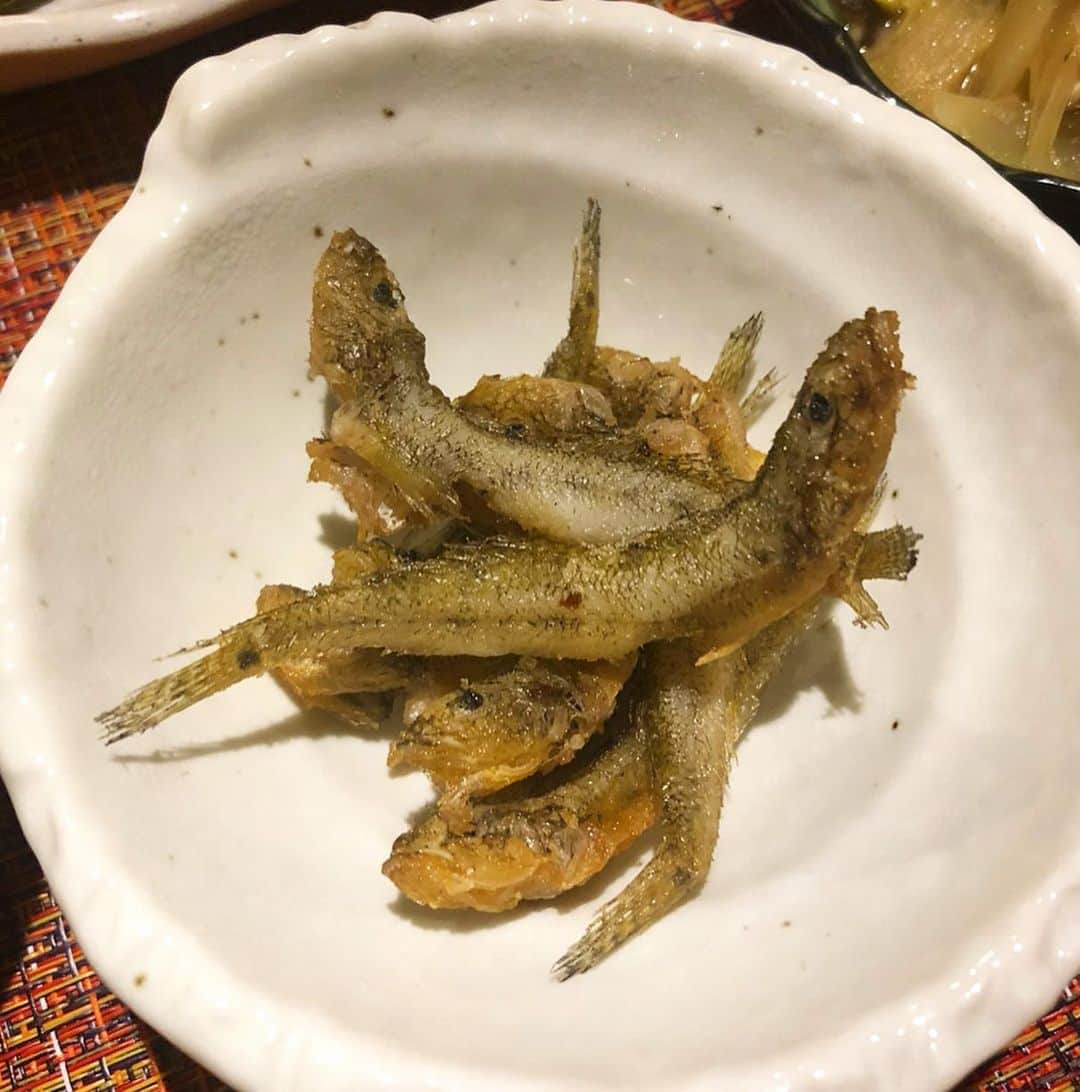 阪本智子さんのインスタグラム写真 - (阪本智子Instagram)「🐟♡ #おうちごはん  #ハゼ #和食ごはん ＊ 🌽夏野菜たっぷりお品書き🍅 ★ハゼの唐揚げ ★ほうれん草とトマトのツナサラダ ★オクラの胡麻和え ★アンチョビと野菜の炒め物 ★鶏肉のネギマヨポン酢 ★手づくりキューちゃん ★オクラと豚肉の味噌汁 ★とうもろこしご飯 ★富良野メロン ハゼの唐揚げはやっぱり美味しい😋︎💕︎ また釣りに行こっと( 👍ᐛ)👍‪🎣‬ ＊ #fish #fishing #fishinggirl #cook #cooking #homedinner #food #japanesefood #washoku  #魚  #釣り #ハゼ釣り #料理 #手料理 #晩御飯 #魚料理 #定食 #主婦 #料理好き #阪本智子」8月3日 5時10分 - tomoko_sakamoto423