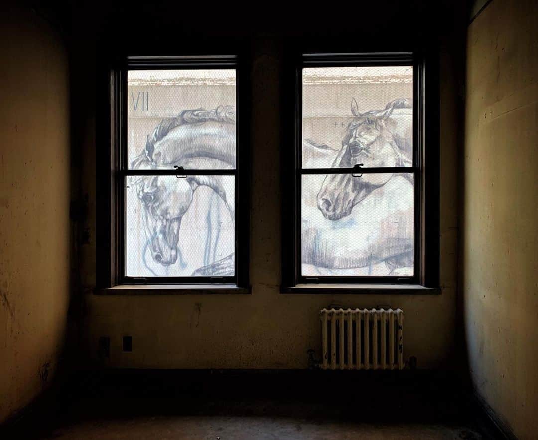 ジェームズ・ワンのインスタグラム：「Interesting things you see whilst location scouting.  There’s been a bit of speculation as to what my next project is... all I’ll say is, I’m super excited to go back to my indie roots with this hard-R thriller. An original horror idea (not a reboot/remake or anything based on existing IP) with old school, practical effects and no giant, blue screen sets. That’s all I’ll say for now.」