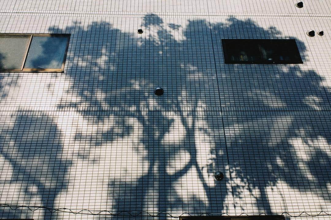 浅田信一さんのインスタグラム写真 - (浅田信一Instagram)「🏃‍♂️🏃‍♂️🏃‍♂️ いつものコースを5.2km💦 映画が上映できそうな世田谷のどこかのマンションの壁📽・ ・ #ニューシネマパラダイス」8月3日 7時24分 - asada_shinichi