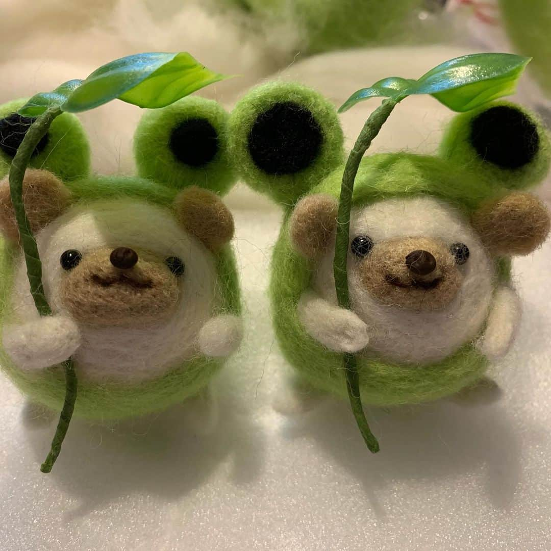 ラド&ティンクさんのインスタグラム写真 - (ラド&ティンクInstagram)「* I participated in a workshop to make a hedgehog covered in frog costume with wool felt. * model ： Ocean * * 一昨日、たわしちゃんママ @mokyuko5 のハリだるまのワークショップに参加したよ。 * * 私が作ったのは、 カエル🐸を被ったハリだるま✨ 先生にアドバイスもらいながら、とっても可愛くできました❤️ 上向くおーしゃんに合わせて、ハリだるまもちょっと上向きに作ったよ✨✨👍 このハリだるまが持ってる葉っぱ🍀は、なんとたわしちゃんママの娘さんの手作りなんだって！ すごぉ〜い✨✨✨❤️ * * 一緒に参加した @shirasudon_111 しらす丼ママ、ねえね @tomtom1486 スカイくんママ @ayabribrick そらうみママ @tacakotan アルくんママ * 楽しかったね✨✨ ありがとう❤️ * * #おーしゃん #はりねずみ #ハリネズミ #針鼠 #ヨツユビハリネズミ #ヘッジホッグ  #ペット #ふわもこ部 #モフモフ #hedgehog #pygmyhedgehog #lovelypet #cuteanimals #hedgehogfamily #hedgie #Hérisson #igel#riccio #Erizo #고슴도치 #刺猬 #pecotv」8月3日 8時04分 - rado_pompon