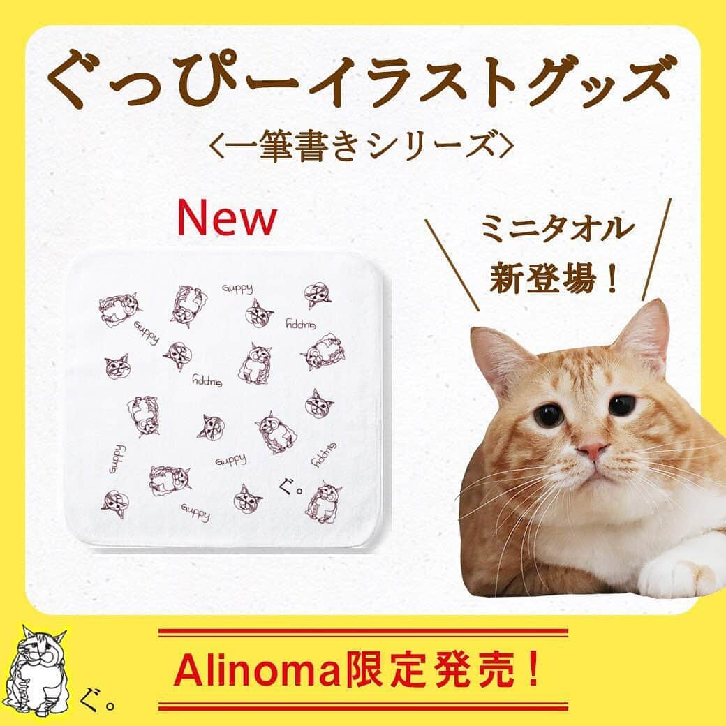 Alinoma公式のインスタグラム