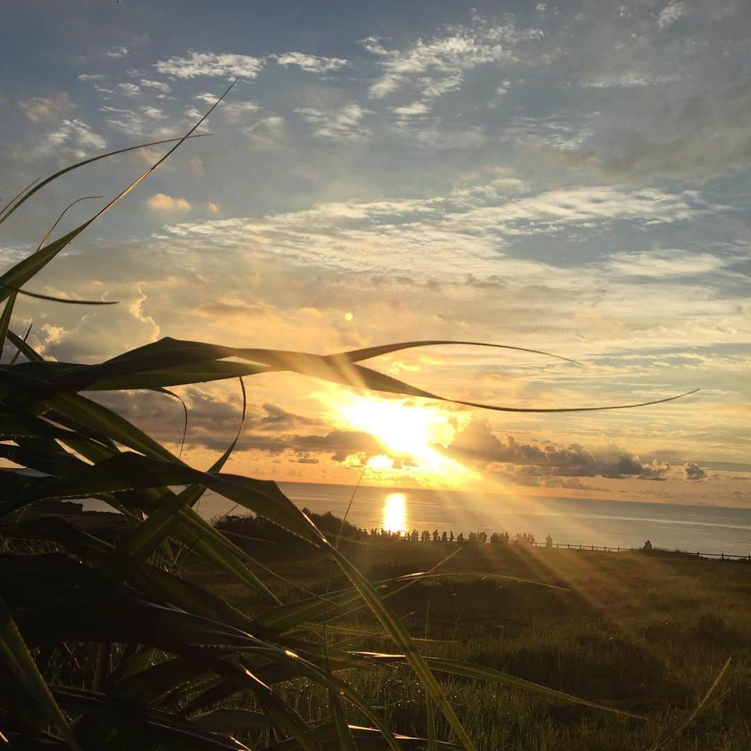 新山千春さんのインスタグラム写真 - (新山千春Instagram)「🏖🌴🌇ふはぁーー😍 幸せのため息(*˘︶˘*).｡.:*♡ . 楽しかったなぁ💜❤︎💜❤︎ . この景色をまた見たいから 仕事頑張る🙌 頑張れるっ٩꒰๑❛▿❛ ॢ̩꒱ . sunsetみると、いつも 願い事してしまう☺︎꒡̈⃝⌄̈⃝¨̮ .  お友達のかおちゃんの 絵が、どでかく飾ってあって 嬉しかったなぁ💜 見てるとポカポカしてきて 温度のある絵で大好き💖 . みんなで食べた🍉すいか 最高でした(*^。^*) .  #夏 🙌  #Palmtree #海 好き🖤#sunset」8月3日 8時50分 - chiharuuu_0114