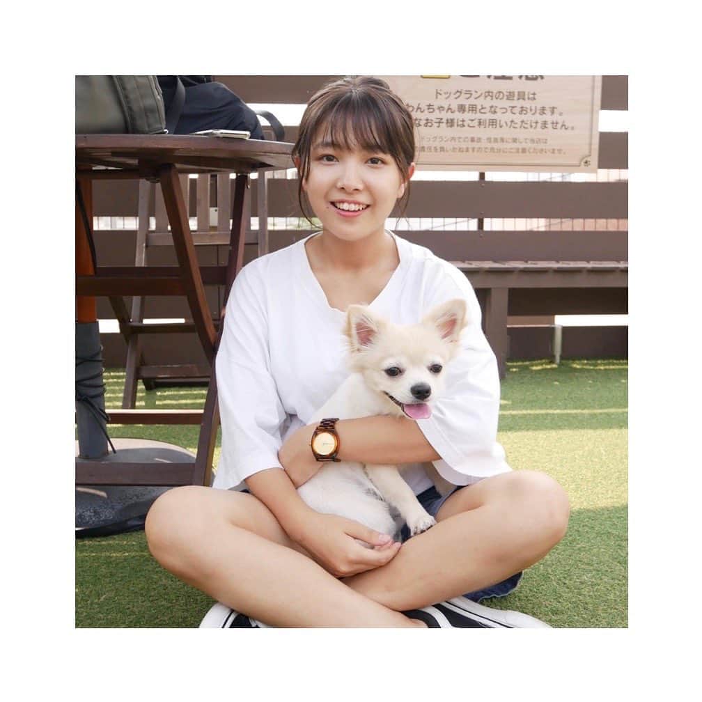 寺本莉緒さんのインスタグラム写真 - (寺本莉緒Instagram)「愛犬とドッグラン行ったけど、犬嫌い過ぎて、ずっとこんな感じ笑 . . #ドッグラン#犬#犬嫌いな犬」8月3日 9時23分 - lespros_rio