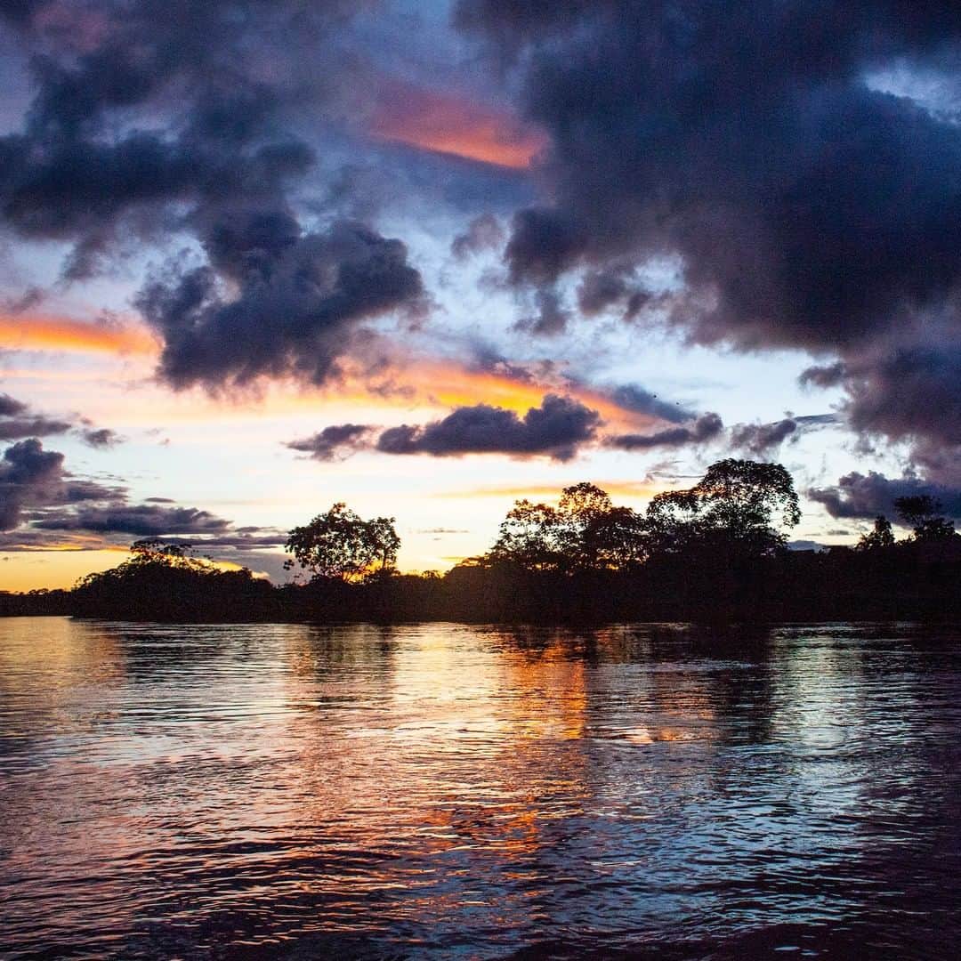 National Geographic Travelさんのインスタグラム写真 - (National Geographic TravelInstagram)「Photo by @andrea_frazzetta | Sunset over the Amazon Forest, Peru. The Peruvian Amazon comprises 60% of the country and is marked by a large degree of biodiversity. Peru has the second-largest portion of the Amazon rainforest after the Brazilian Amazon. Rainforests play an invaluable role in sustaining life, but every year, large portions of them are cut down for logging, mining, and cattle ranches. The environment of rainforests is ideal for plants: An estimated two-thirds of the world's plant species grow in the rainforest. The National Cancer Institute (NCI) estimates that 70 percent of the anti-cancer plants identified so far are rainforest plants. To see more photos from my travels, follow me @andrea_frazzetta #peru #amazonforest #rainforest」8月3日 10時03分 - natgeotravel