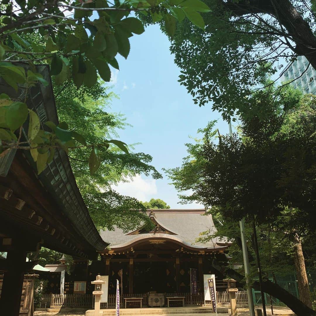 前川泰之さんのインスタグラム写真 - (前川泰之Instagram)「おはようございます☀ 朝のウォーキングはいつもの神社まで⛩ いつも清々しいです^_^ 今日も一日酷暑のようですが、体調に気をつけて楽しい一日にして下さいね^_^  #おはよう #ウォーキング #神社」8月3日 10時04分 - maekawa_yasuyuki_official