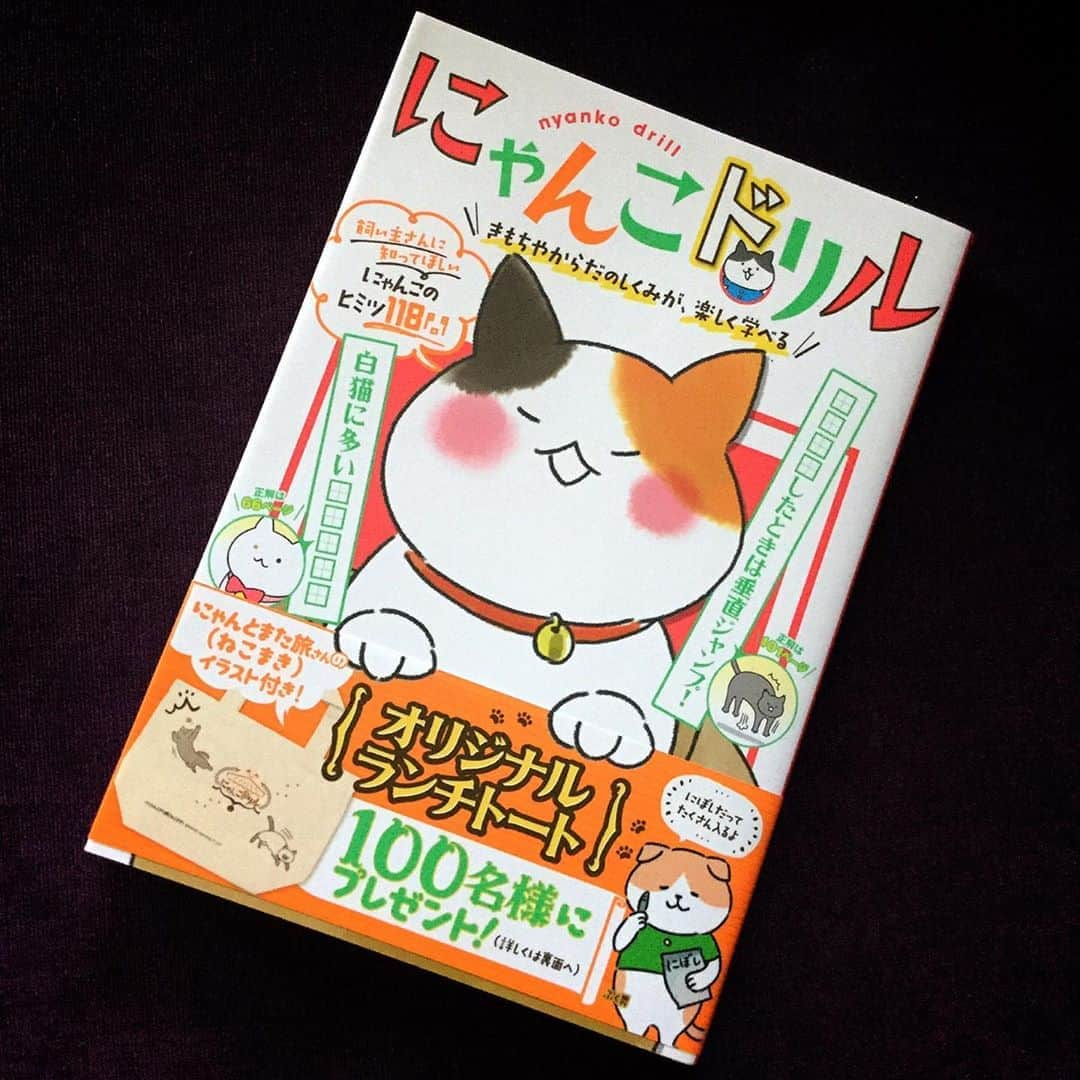 杉本彩さんのインスタグラム写真 - (杉本彩Instagram)「ネコの気持ちやカラダの仕組み等を、問題形式にして解説している「にゃんこドリル」  笑えます😄  #にゃんこドリル #新星出版社」8月3日 10時27分 - sugimoto_aya0719