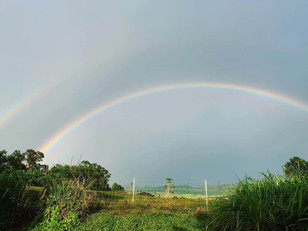 齊藤美絵さんのインスタグラム写真 - (齊藤美絵Instagram)「今日は、ストームの影響もあって雨や強い風の一日でした。  が、  目の前に広がる景色がドラマティック過ぎて！  お家からパーフェクトなレインボーも🌈  #maui #マウイ #liveontheearth #地球に寄り添った暮らし方 #mauinokaoi  #Hawaii #aloha #sunset #rainbow #livewelllovemuchlaughoften #howtobeawesometoday  #ナチュラルビューティスタイリスト #ツタエルヒト。」8月3日 21時57分 - saitomie