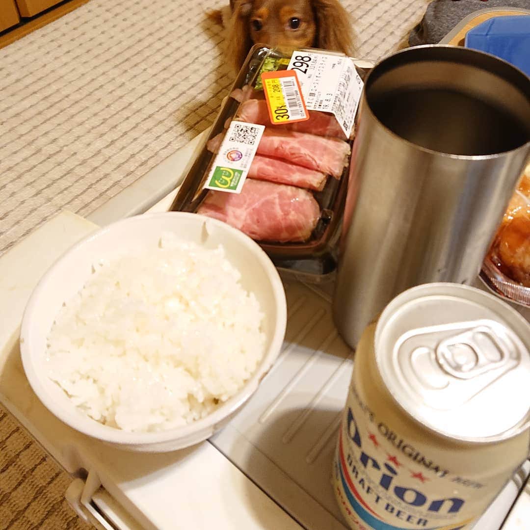 くるみんのインスタグラム：「* 父の部屋のエアコンが壊れた💦 * ３日ほど前からリビングに避難していて、仕事で遅くなったら既に寝ていたため 私達は３階の部屋でクーラーボックスをテーブルにご飯  買ってきた惣菜ばかりですが…  #カニンヘンダックスフント #カニンヘン #カニンヘンダックス #カニンヘンダックスフンド #チョコタンダックス #チョコタン #ダックス多頭飼い #ダックスフント #ダックスフンドカニンヘン #ダックスフンド #ダックス #エアコン壊れた #ロゴス #クーラーボックス #わんこなしでは生きていけません会 #ワンコなしでは生きて行けません会 #いぬばか部 #いぬすたぐらむ #短足部 #dachshundgram #dachshund #dogstagram #instagramdog #instadachs #kyounodachs #kyounowanko #todayswanko #7pets_1day #犬のいる生活」