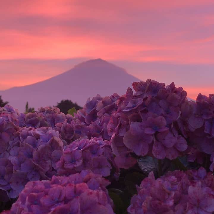 のインスタグラム：「. 🤩🤩“Shizuoka” prefecture in Japan is a place where you can see the most “phantastic” Mt. Fuji🗻 in the world.🤩 #富士山 #mtfuji #japan #shizuoka #fujinomiya  #phantastic420photography #mostphantasticmtfuji #selamatpagi  #goodmorning  #おはようございます 😇😇😇😇😇😇😇🗻😇😇」