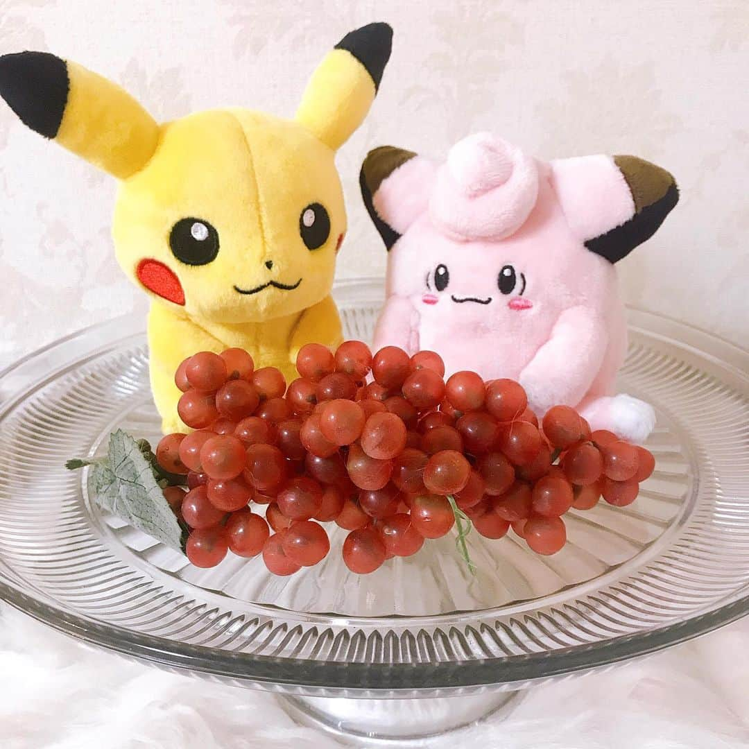 manami☺︎satoさんのインスタグラム写真 - (manami☺︎satoInstagram)「・ ✧ピカチュウ＆ピッピ✧ ・ Pokemon fitのぬい撮りフォトコンテストに応募🎵 ・ 全部で251匹ある中から選んだので悩みに悩みました🤔 ピカチュウは昔から大好きなので即決！ ピカチュウに似合う子を厳選して、ピッピに︎💕︎ お似合い～👏🏻 ・ テーマは、『花散歩』『結婚式』『ぶどうパーティー』 ・ コンテストの期間は 【2019年6月8日(土)～9月1日(日)】🍀 ぜひ自分のお気に入りのPokemon fitのぬいぐるみを 撮影して投稿してみてね✨ ・ 更に！全国12箇所にあるポケモンセンターのスタッフ に投稿を見せると、My251ステッカーがもらえます💁‍♀️ ・ ( @pokemon_jpn )←ここをcheck☺︎✓﻿ 可愛いポケモン写真がいっぱい😃 ・ #My251 #ピカチュウ #ピッピ #ポケモン #ポケモンセンター #Pokemon #poketmonsters  #pikachu  #タイアップ投稿  #ぬいぐるみ #ぬい撮り」8月3日 21時29分 - fuwari_kinaco