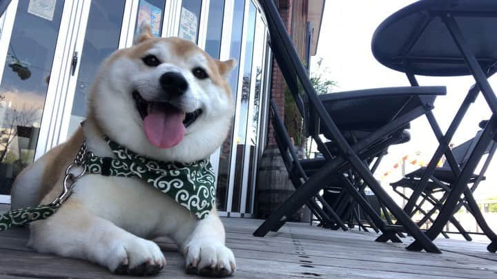 豆助左衛門（まめすけざえもん）のグルメインスタ