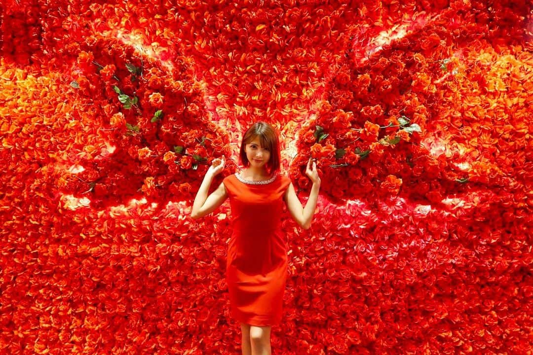 岡田栞奈のインスタグラム：「🌹🌹🌹🌹🌹❤️ #喰種レストラン  #グールレストラン #東京喰種 #期間限定 #秘密の場所 #フレンチ #バラ #4万本の薔薇 #赤 #真っ赤な世界 #グルメ #かぐね #赫子」