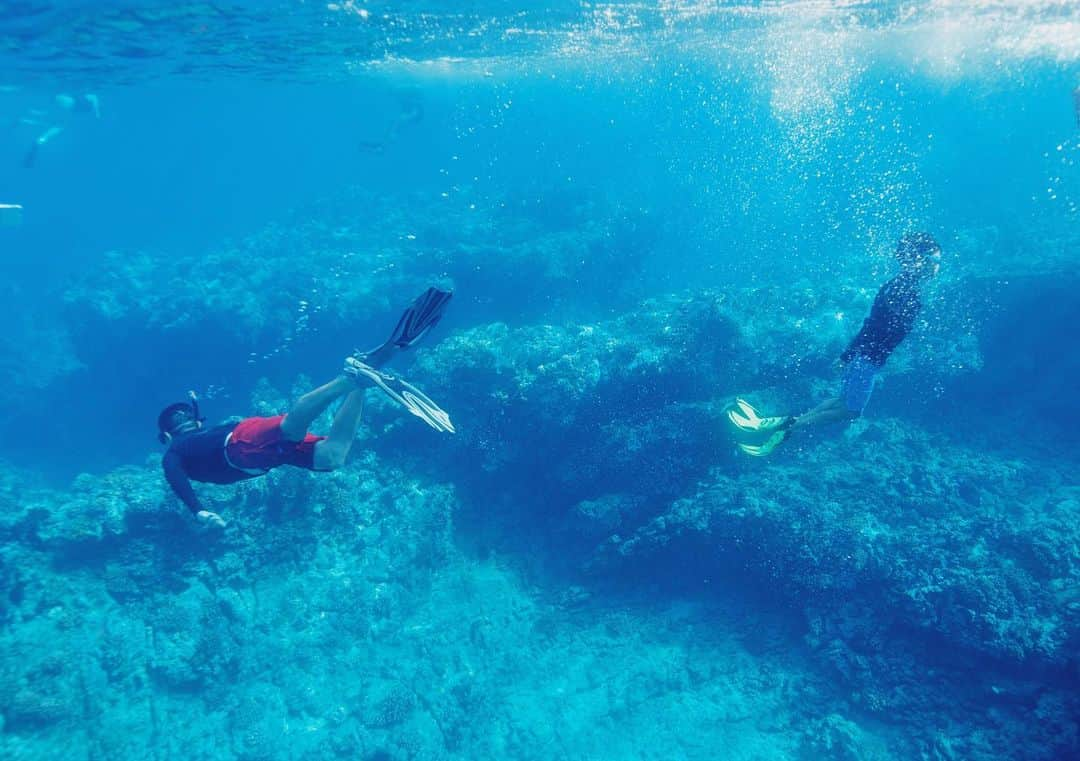 西山美希子さんのインスタグラム写真 - (西山美希子Instagram)「My boy took off his life jacket and jumped into the sea! 👏👏👏 船で海の沖に出てシュノーケリング。潜りたい息子は、ライフジャケットを外したいと懇願し、それをOKしてくれるのがハワイのいいところ！シュノーケルも外し、競泳用のゴーグルとフィンだけで魚のように、海の中を深く潜って自由に泳ぎまくってました😊もう、泳ぎは私よりも上手。速さもパパに追いつくレベルで、ほんとに逞しくなったなぁーと思います。#myboy #summerbreak #hawaii」8月3日 21時45分 - mariaclove