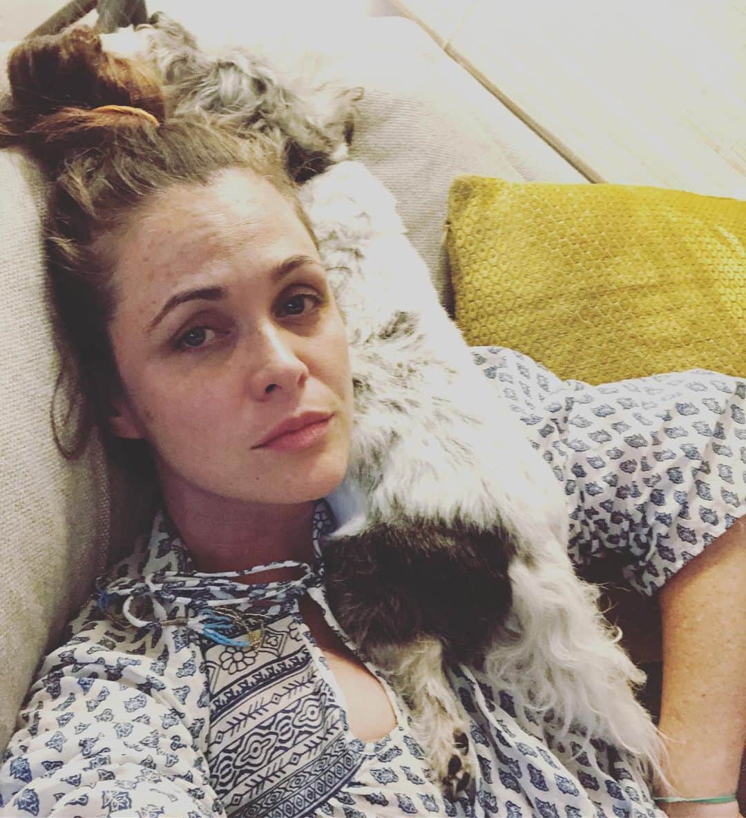 のインスタグラム：「I did not place this dog here #haroldhostage」