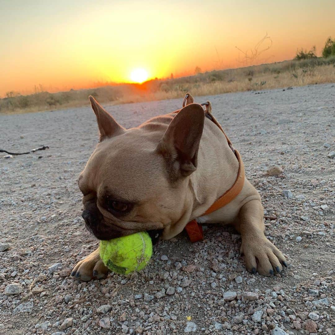 ジョルディ・コディーナさんのインスタグラム写真 - (ジョルディ・コディーナInstagram)「Sacha」8月3日 14時27分 - codina30