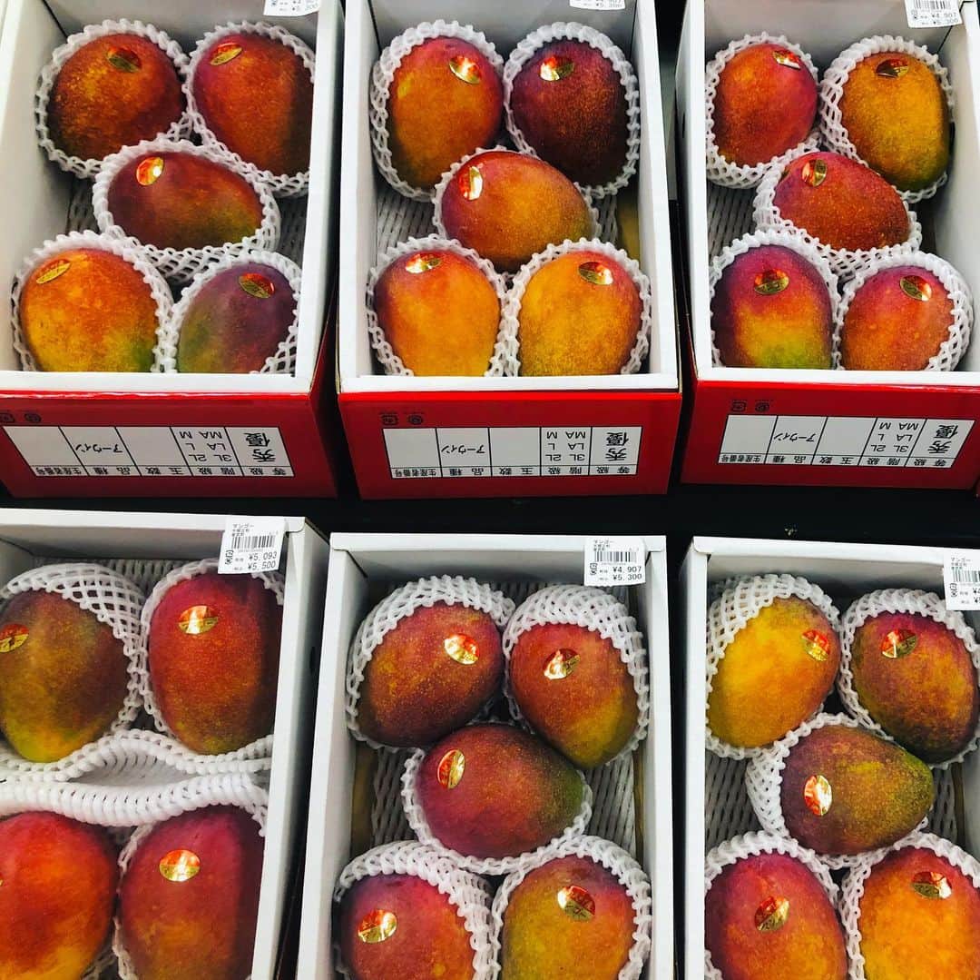 志摩マキのグルメインスタ