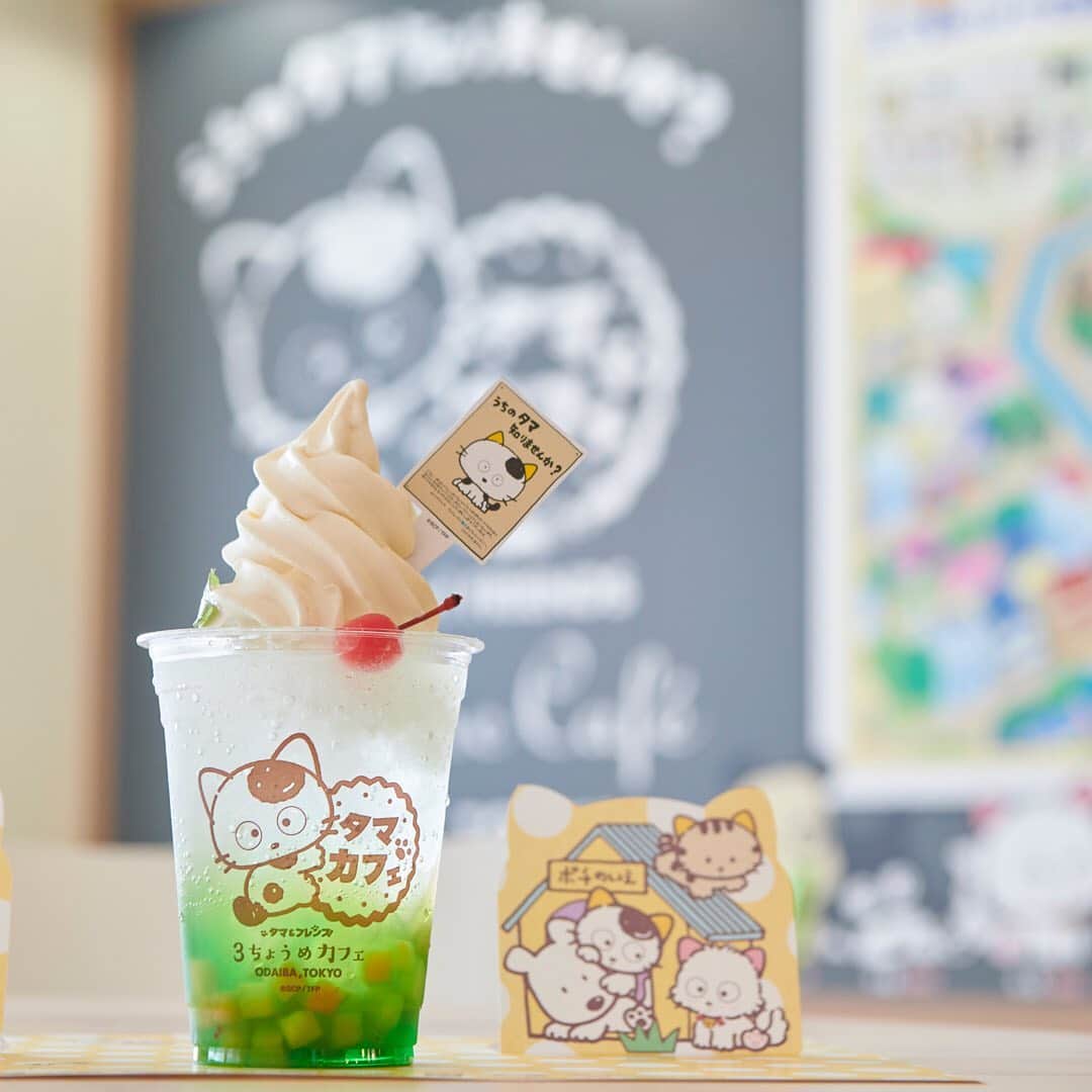 のインスタグラム：「・ 【夏休みはお台場へ！】 ・ お買い物の合間に、親子でくつろげるタマカフェのひんやりスイーツでひとやすみ♪メロンクリームソーダや抹茶ソフトなど、見た目も可愛いメニューにほっこり癒されます。 ・ タマ＆フレンズ ３丁目カフェ（6F） ・ #アクアシティお台場 #タマアンドフレンズ３丁目カフェ #タマアンドフレンズ #うちのタマ知りませんか #カフェ #キャラクターカフェ #グッズ #キャラクターグッズ #メロンクリームソーダ #ソフトクリーム #抹茶ソフト #スイーツ #グルメ #アイス #アイスクリーム #ファミリー #東京グルメ #foodstagram #夏 #夏休み #aquacityodaiba #お台場 #アクアシティ #東京リゾー島 #odaiba #aquacity #台場 #daiba #tokyo #japan」