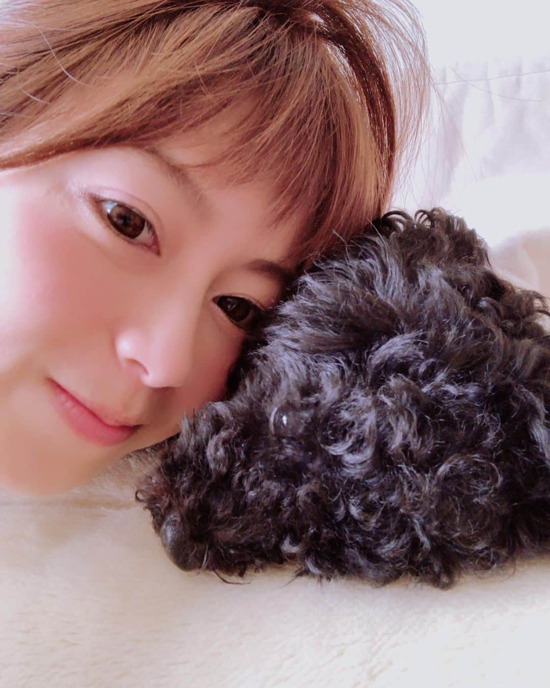 小坂温子さんのインスタグラム写真 - (小坂温子Instagram)「メ〜イちゃんっ😍🥰 ちら👀 アタチねむたい🐶✨ #お昼寝タイム  #いちゃいちゃ  #メイちゃん  #まっくろちゃん  #タイニープードル  #女の子 #dog #love」8月3日 15時35分 - kosaka_atsuko