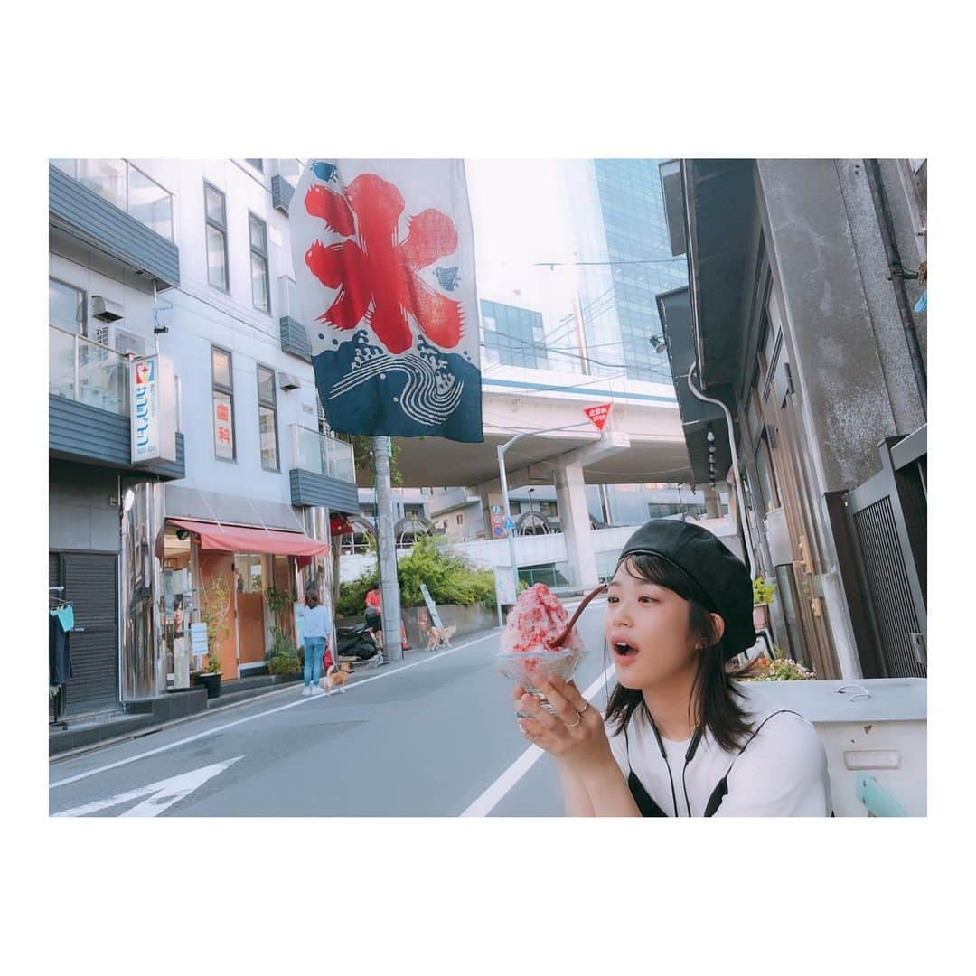 加村真美のインスタグラム：「はいはい、映え映え〜  #かき氷 #すぐ溶ける切なさ」