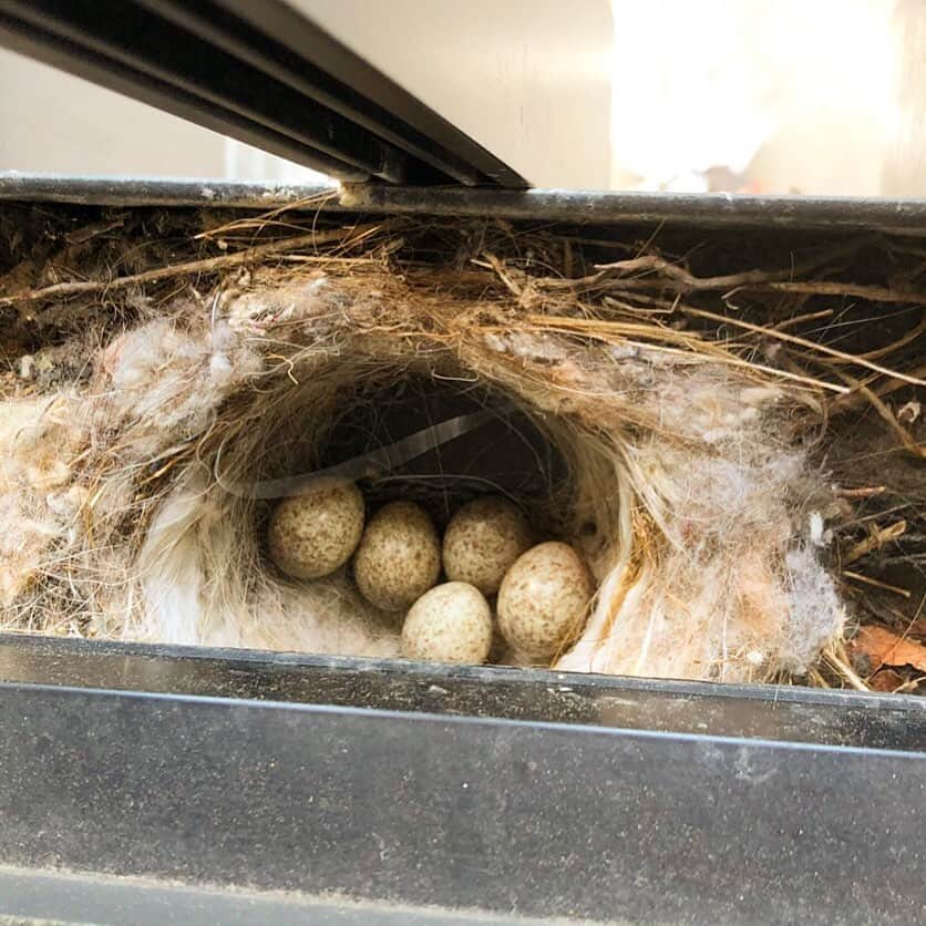 竜泉寺の湯のグルメインスタ