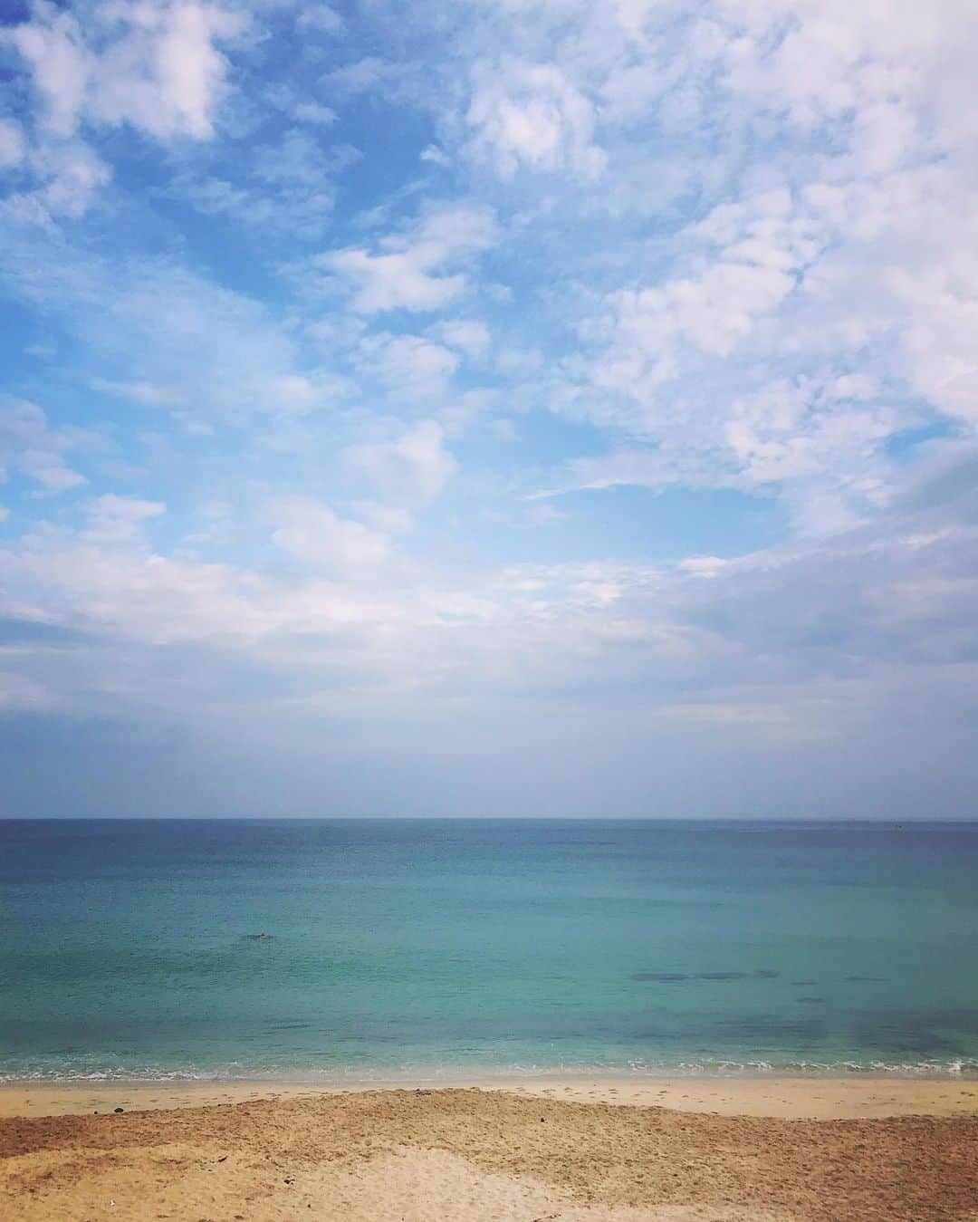 Tea and sittingのインスタグラム：「...early morning cycle ride 💙✨」