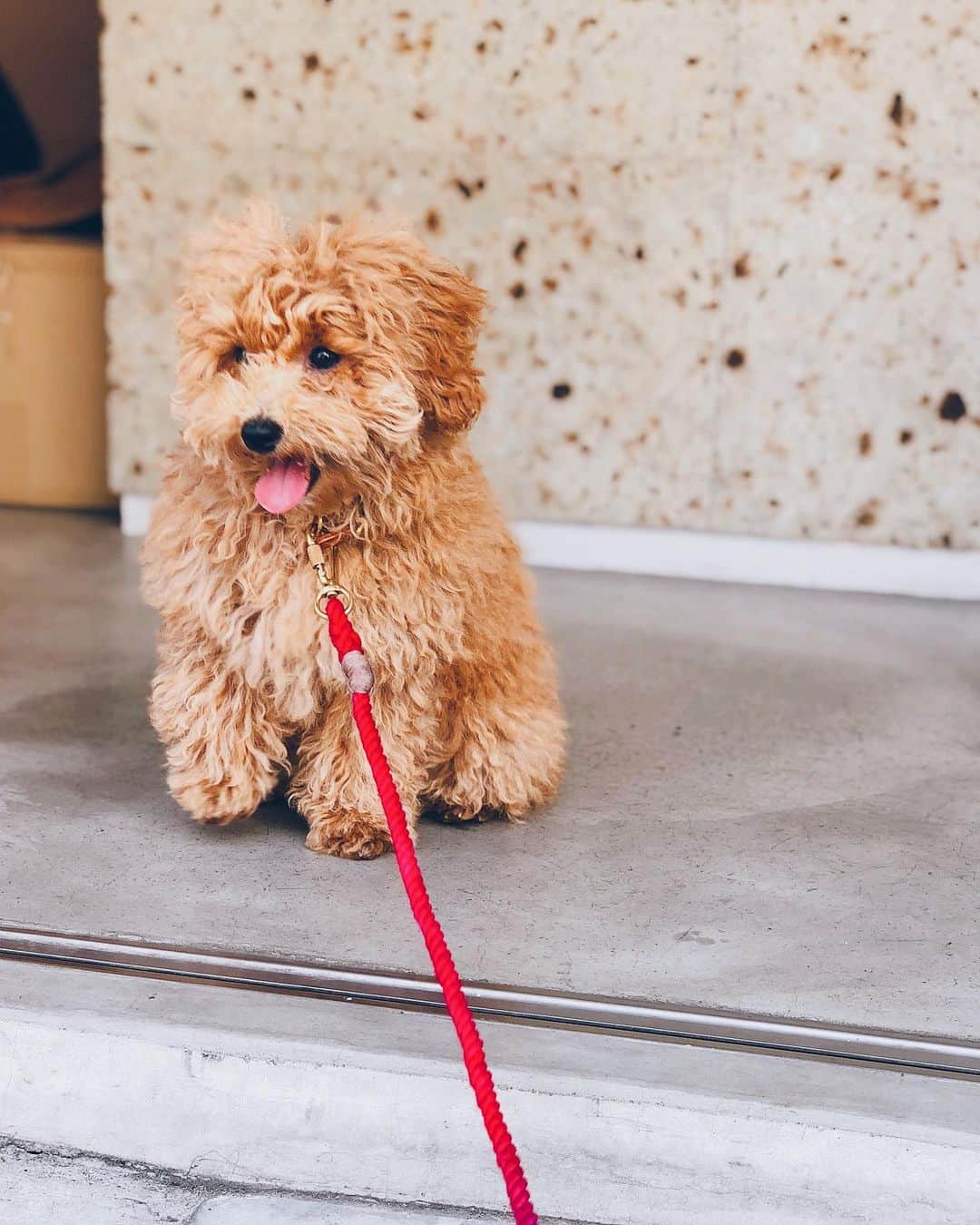 小塚源太のグルメインスタ