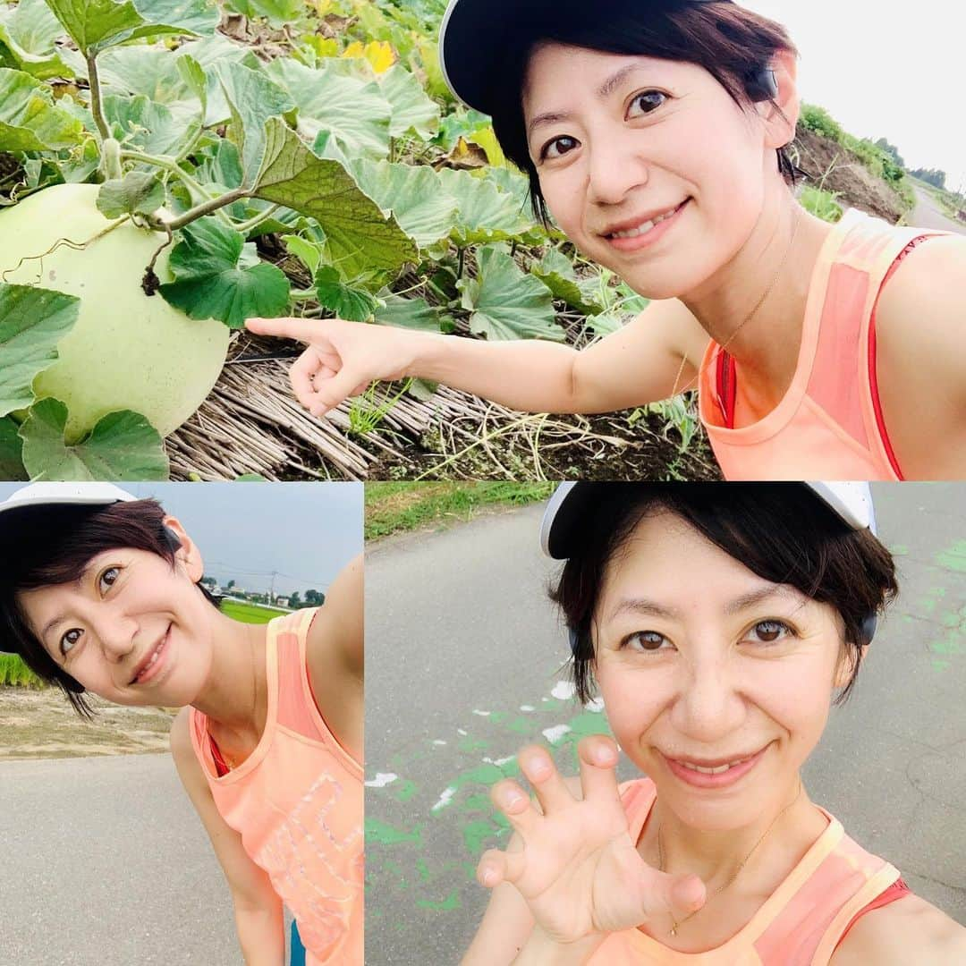 サトウヒロコさんのインスタグラム写真 - (サトウヒロコInstagram)「🏃‍♀️ 連日暑くて服なんか着ていられないですね💦全裸ではいられませんので、かろうじて布のようなものをまといます。皆さんも露出しすぎには注意ですよ。 ・ そんなわけで、ほぼ歩きのランニングも、露出し始めました🎽 ・ ふくべ(かんぴょうの原料)も元気に育っていましたよ〜。かんかんかーん♪ ・ ・ #サトウヒロコ #シンガーソングライター #シンガーソングランナー #ひとり遊び #running #ランニング #走れる事に感謝 #ランニング女子 #igランニング #ハシリマスタグラム #ig自撮りランナーズ #ランニング好きな人と繋がりたい #腹筋を鍛える #ストレッチ #ぼっちRUN #ランニング #マラソン #ジョギング #ナイキプラス #ハシリマシタグラム #ハシリマスタグラム #ワークアウト #run #running #jogging #justdoit #nikerunning #nikeplus #marathon #workout #fitness #beautyplus」8月3日 18時06分 - satohiroko1208