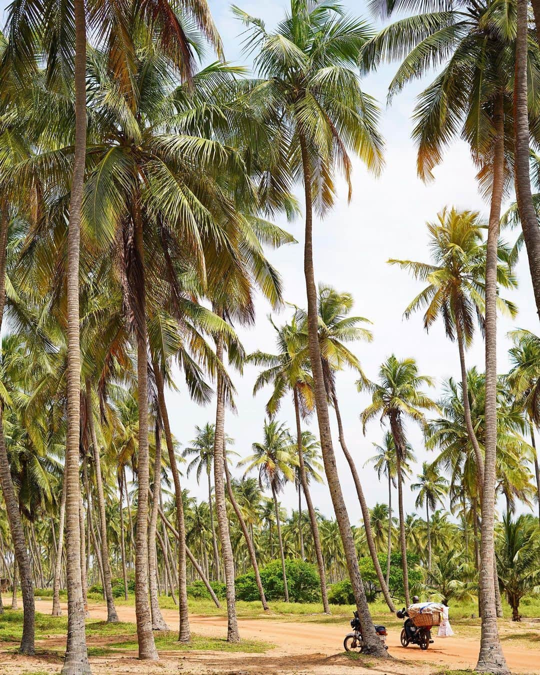 フローラ・コケレルさんのインスタグラム写真 - (フローラ・コケレルInstagram)「Can’t get enough of this place 💛 #Ouidah #Benin」8月3日 18時43分 - floracoquerel