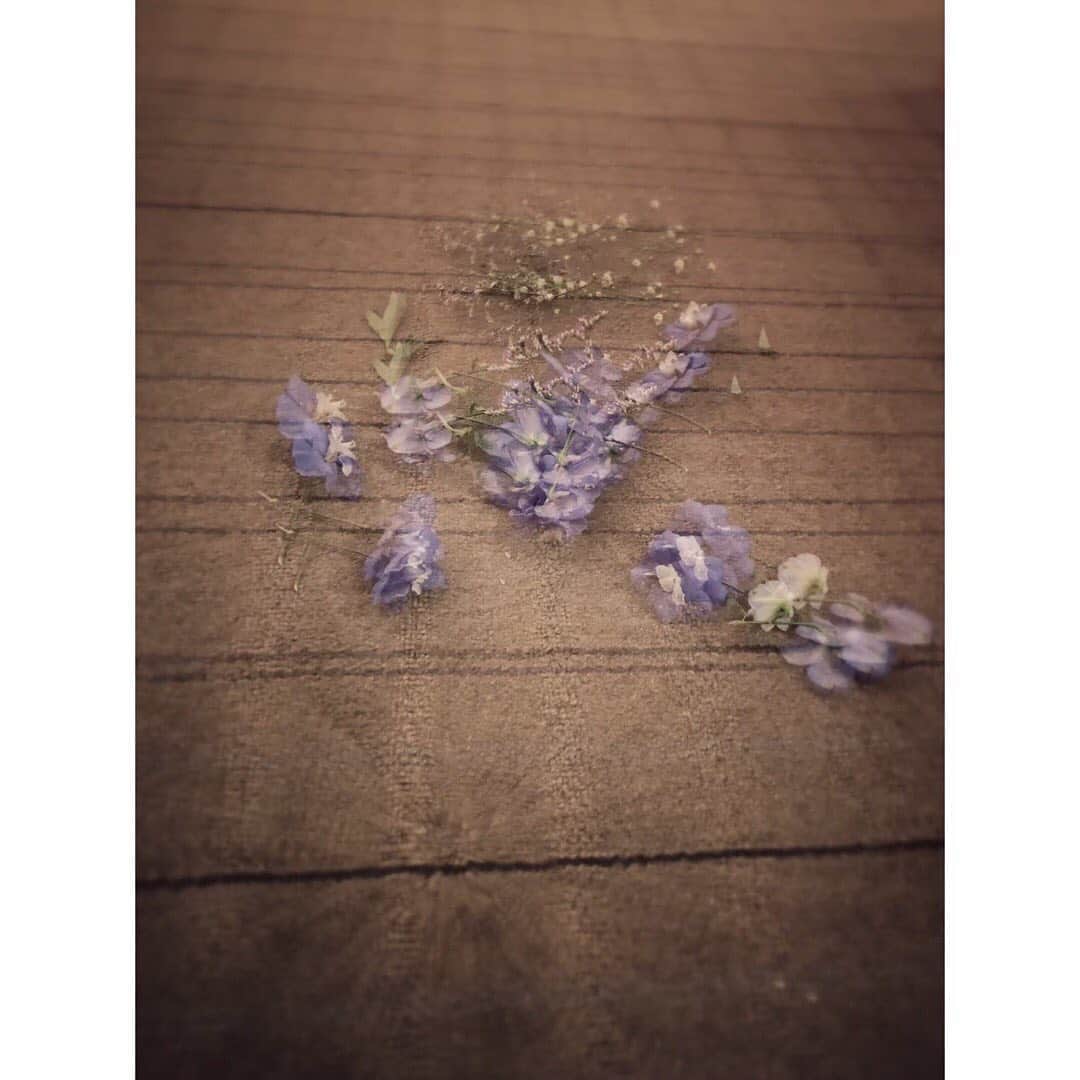 城南海さんのインスタグラム写真 - (城南海Instagram)「August 3,2019  #城南海 #月刊城南海  #kizukiminami #minamikizuki #singer #music #japan #tokyo #photooftheday #shotoniphone #fashion #makeup #instagood #flower #bath #dinnershow #girl #water #💐 #purple hairmake&photo 加藤リーヌ @cat_rinu」8月3日 19時15分 - kizukiminami