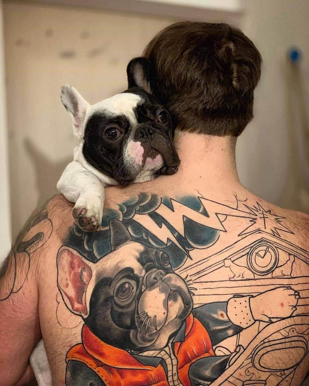 French Bulldogさんのインスタグラム写真 - (French BulldogInstagram)「I’ll always be with you 😍 @sandorharaszti . . . . . #frenchbull #frenchbulldogs #frenchie #bullypics #bulldogs#frenchbulldoglife #法国斗牛犬 #frenchbulldogpuppy#frenchyfanatics #frenchielovers #frenchielove#buhistagram #frenchielife #frenchbulldogsofinstagram#franskbulldog #frenchiebulldog #frenchiephotos #buhigram#frenchbulldog #frenchiegram #bullys」8月3日 19時49分 - frenchie.world