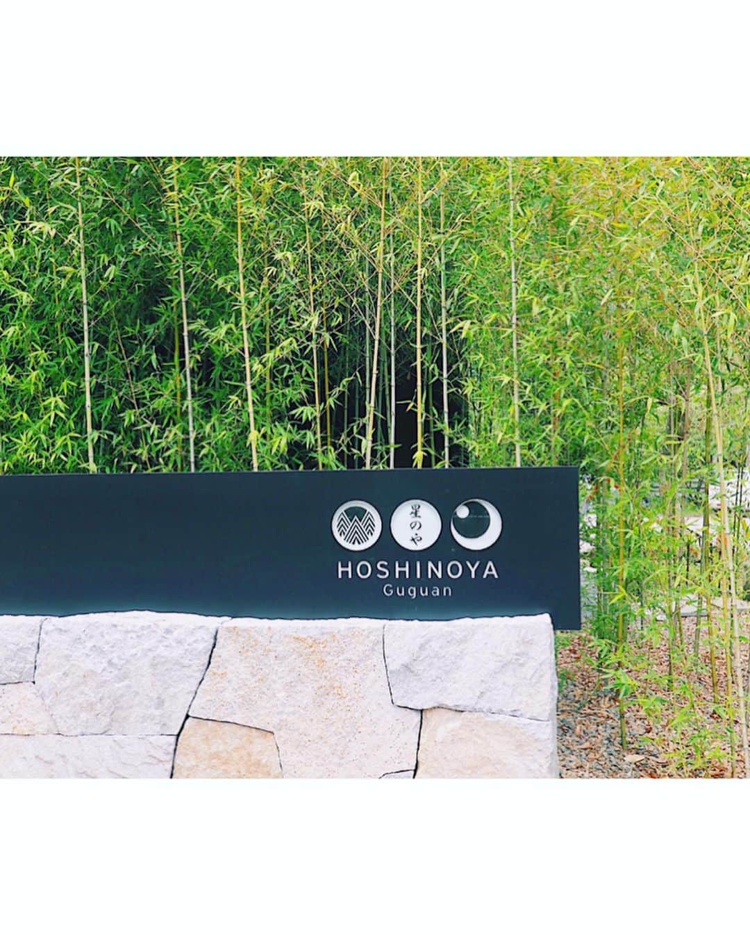 Remiさんのインスタグラム写真 - (RemiInstagram)「the very new resort Hoshinoya Guguan in Taiwan✨ 台湾旅行の目的の一つが、6月末にオープンしたばかりの「星のや グーグァン」。 台中郊外の自然に囲まれた峡谷に誕生した温泉リゾートです♨️ エントランスには、水源の豊富なグーグァンの川を表す絵画や、温泉の湯気を表すオブジェクト、そして水と山を表す絵画が展示され、リゾートそのものがグーグァンの魅力を体現した造りになっています🏞✨ グーグァンの自然と温泉、そして星のやのおもてなしと美食に身も心もしっかり癒された滞在になりました🙏🌿 . . . @hoshinoresorts.official  #星のやグーグァン  #星のや #台湾 #グーグァン #虹夕諾雅 #谷關 #台湾子連れ旅 #hoshinoresorts  #hoshinoyaguguan #Taiwan #guguan #travel #LOVETABI #LOVETABIMama」8月3日 23時06分 - remi_912
