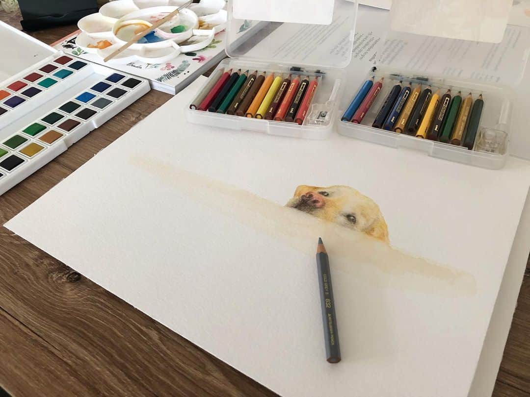 原口るりこのインスタグラム