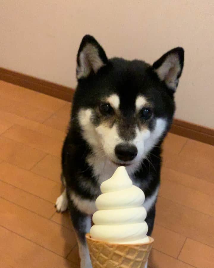 くろのインスタグラム