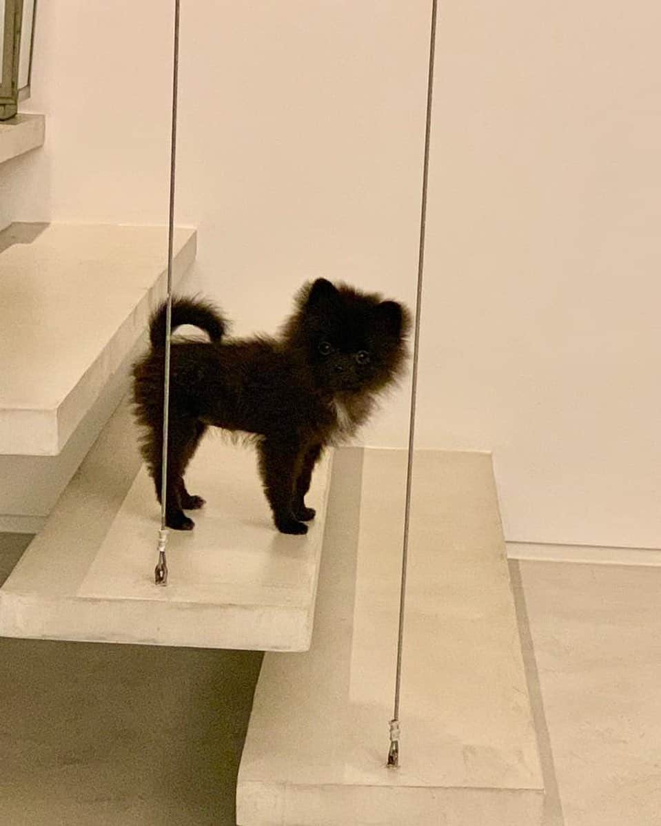 Giovanna Antonelliのインスタグラム：「Brincando de estátua!!! Rsrs #sorte 🖤」