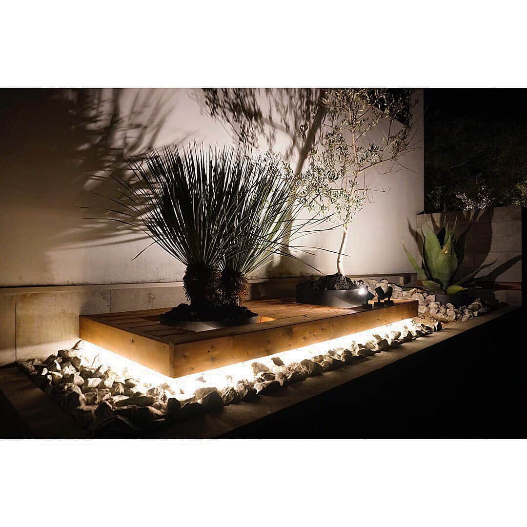 植物のある家さんのインスタグラム写真 - (植物のある家Instagram)「ー表庭ー . 昨年の水害で照明が点かなくなってしまってかれこれ１年…… . 照明をやりかえたいし、そもそもしっくりきてなかったのでリニューアル . ストーリーにものせましたが 先月から少しずつ進めてようやく照明までは完成…… . . あともう少しで完成なんだけど… 仕事が忙し過ぎて一旦ストップ . #来月には完成させたい #ホントは今月中 #でも無理 #暑い #熱い #厚い . . #間接照明 #ライトアップ #新築 #庭 #植栽 #照明 #ライティング #玄関 #エントランス #アプローチ #玄関アプローチ #エントランス #コンクリート #外構 #漆喰 #カルクウォール #レッドシダー」8月4日 1時48分 - plusoneline