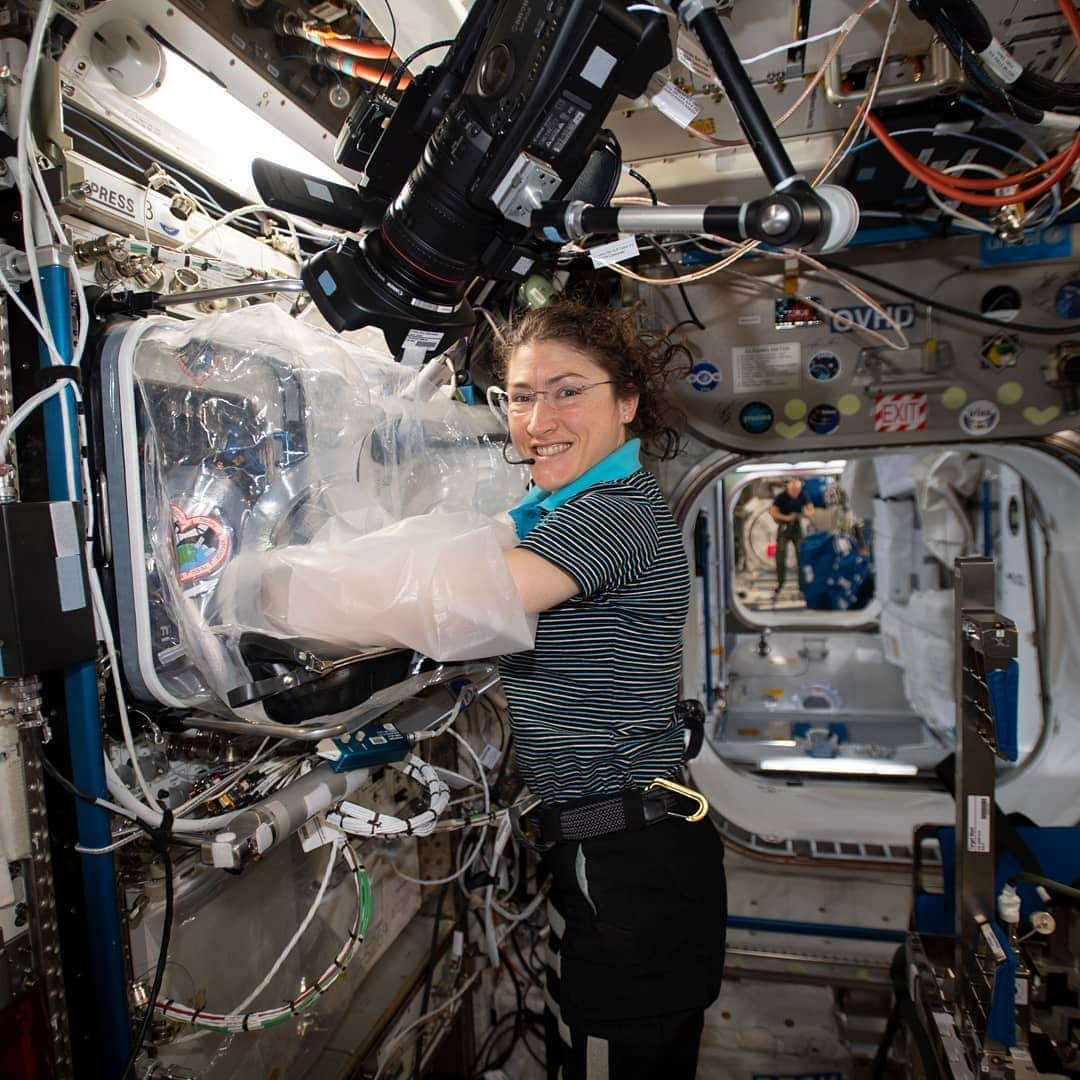 国際宇宙ステーションさんのインスタグラム写真 - (国際宇宙ステーションInstagram)「Expedition 60 Flight Engineer Christina Koch of NASA works with the BioFabrication Facility that will soon be tested for its ability to print organ-like tissues and begin proving viability for human organ fabrication in space.  #nasa #astronaut #science #international #space #station #biology」8月4日 2時30分 - iss