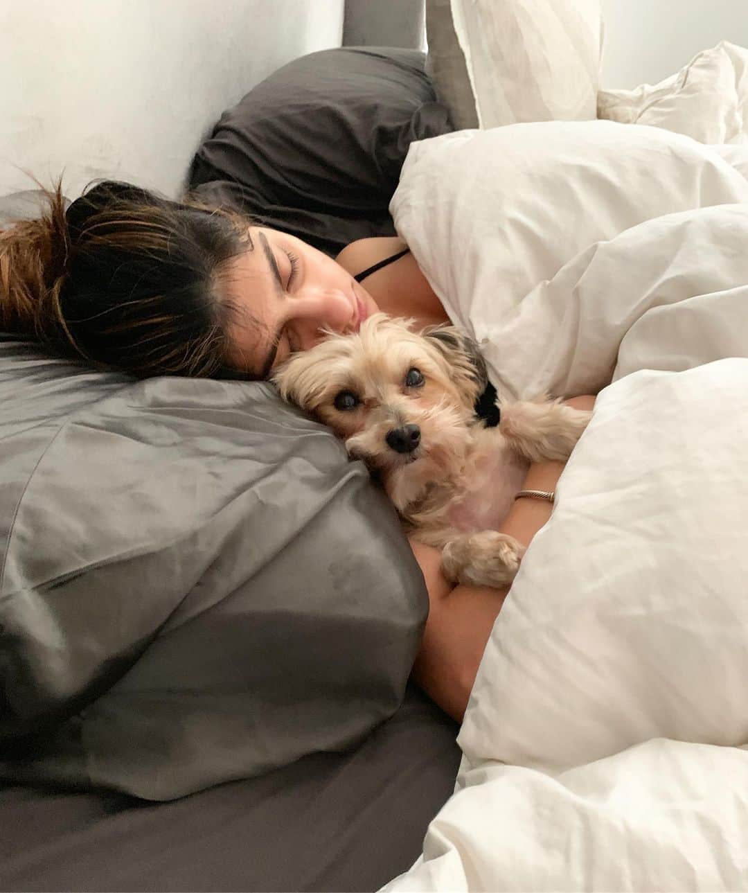 ミア・ハリファさんのインスタグラム写真 - (ミア・ハリファInstagram)「Trying to train her to bite @robertsandberg  when he comes to wake us up, but so far all we’ve got down is a set of puppy dawg eyes you can’t say “no” to.」8月4日 3時24分 - miakhalifa