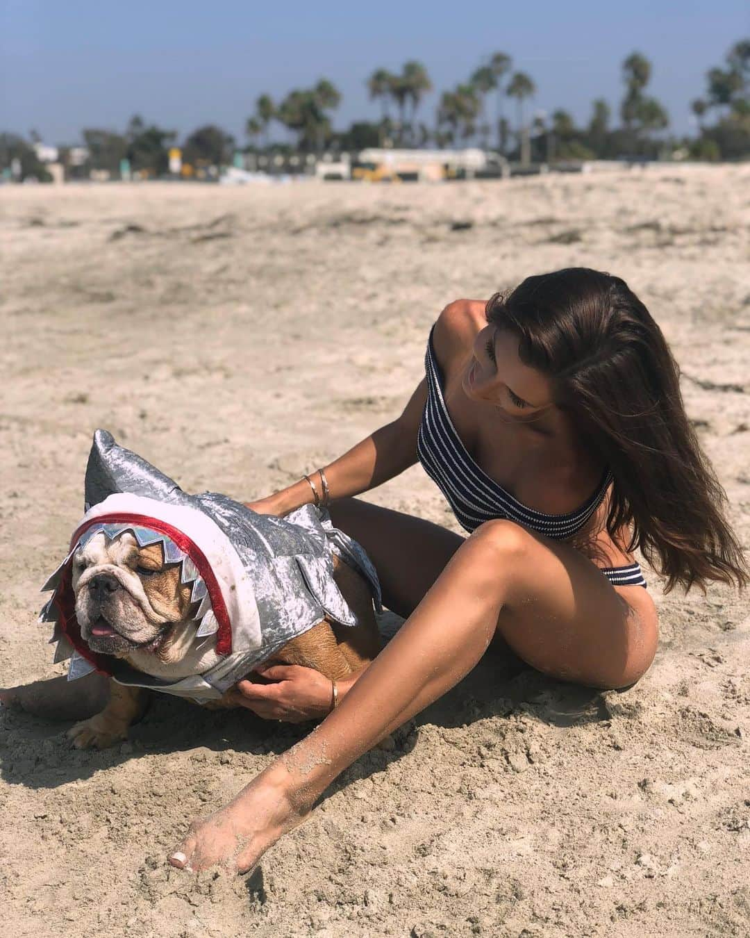 Alexia Clarkさんのインスタグラム写真 - (Alexia ClarkInstagram)「Fact about me: I’ve encountered AND pet a bull shark 🦈 😂😂😂 Happy Shark Week  www.alexia-clark.com  #alexiaclark #queenofworkouts #queenteam #queeb2019 #workout #fitness #sharkweek #fitgirl #bulldog #dogsofinstagram #fitforHisreason」8月4日 3時53分 - alexia_clark