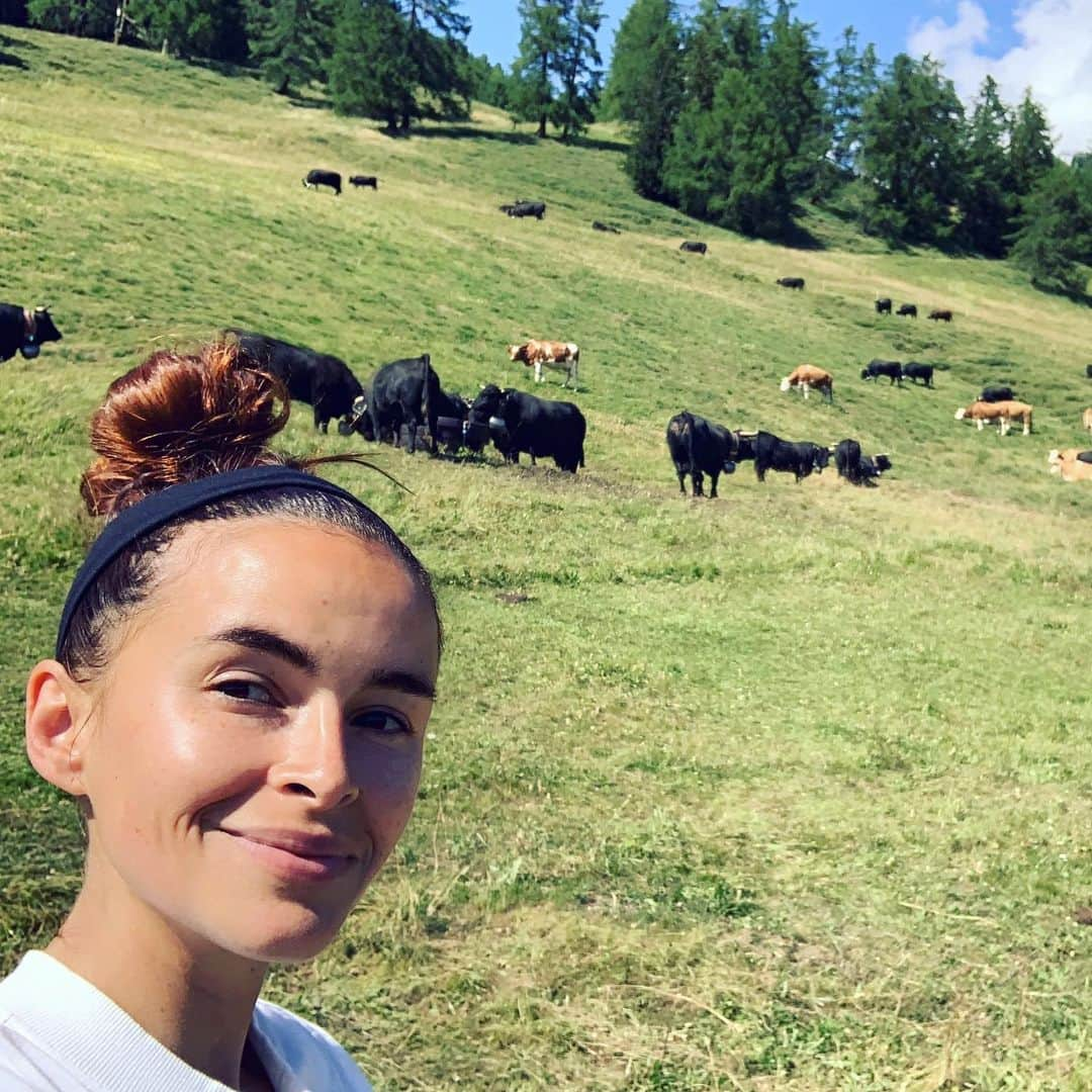 ミロスラヴァ・デュマさんのインスタグラム写真 - (ミロスラヴァ・デュマInstagram)「Anti social wild life Saturday 🐄🇨🇭🏔🌏」8月4日 4時13分 - miraduma