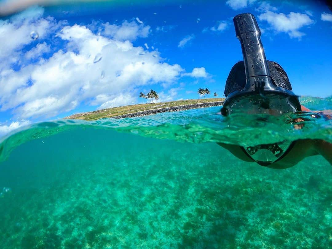 Bruno Gissoniさんのインスタグラム写真 - (Bruno GissoniInstagram)「Imagina se o Brasil decide investir em preservação/sustentabilidade/ecoturismo?  Que doideira né?  Abrolhos é um dos lugares mais lindos do planeta. fica na Bahia. 🇧🇷 Corre pra conhecer ! vimos pelo menos 20 baleias jubarte no caminho, infelizmente elas estão ameaçadas pelas 13 plataformas de petróleo que atuam nas redondezas. Basta 1 vazamento pra esse paraíso deixar de existir. Então corra! Pq as plataformas tem mais garantias que o arquipélago.」8月4日 5時42分 - brunogissoni